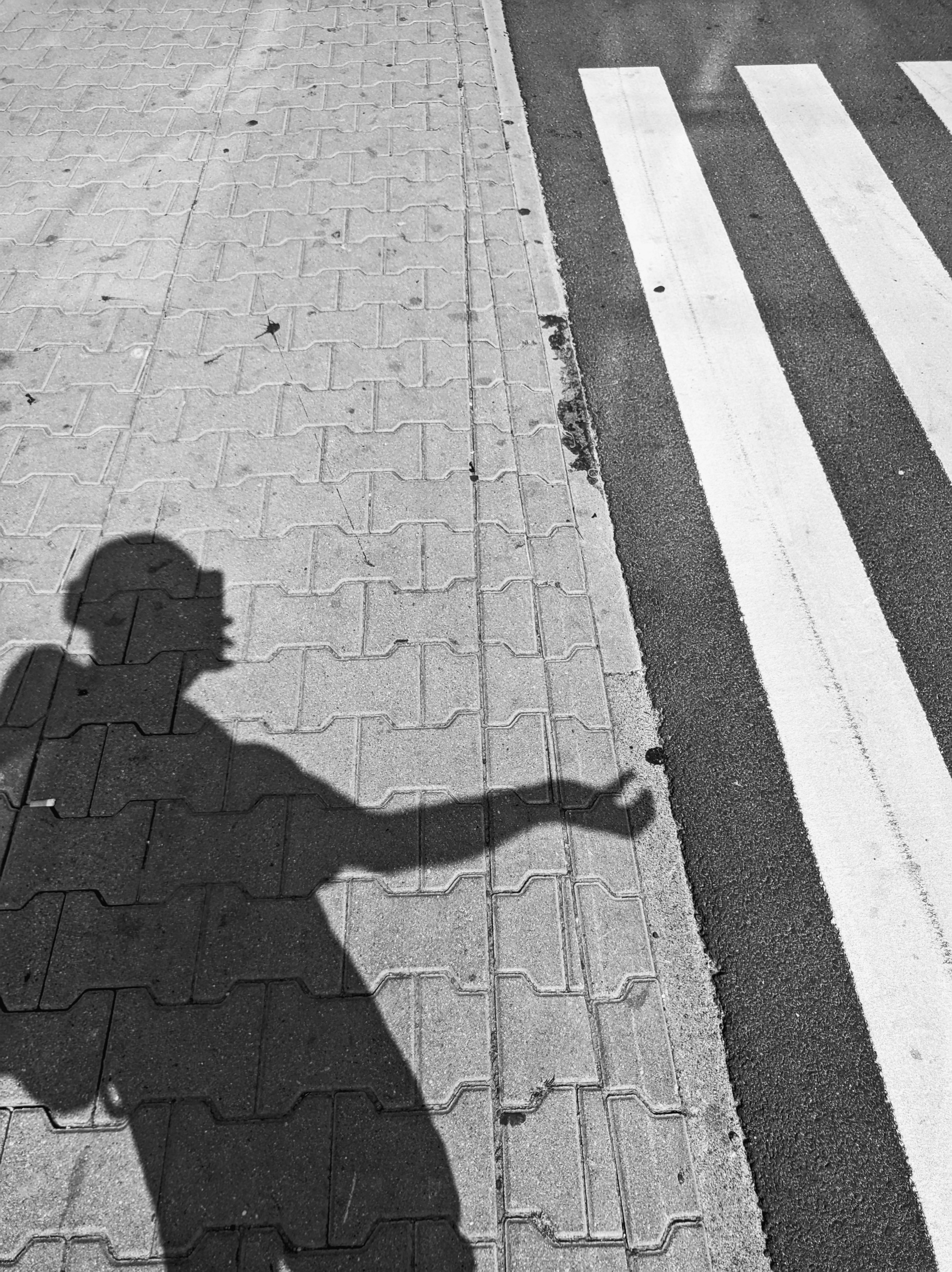 Photo by positivetourettes