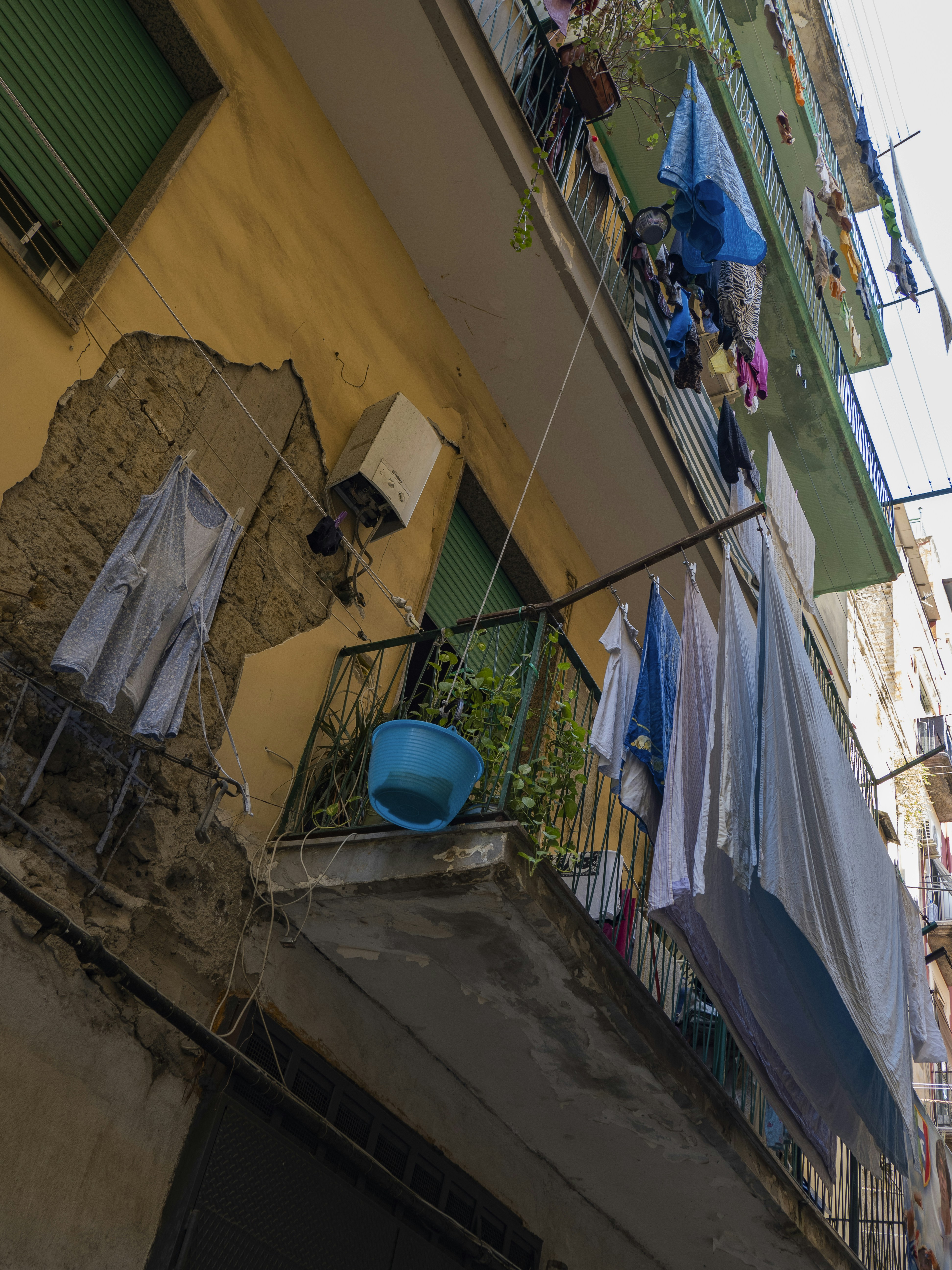 Photo by gopitri_prem