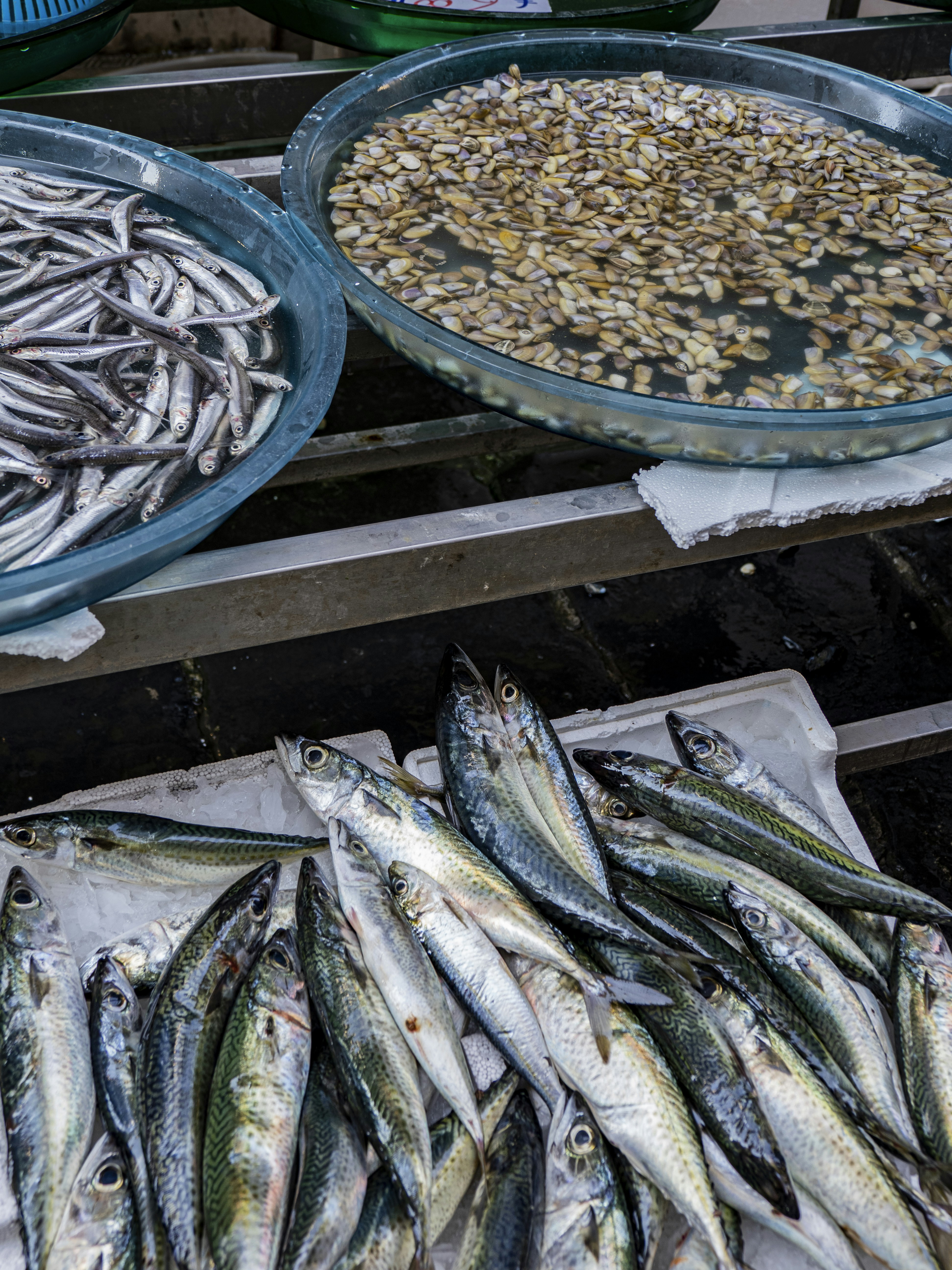 Photo by gopitri_prem