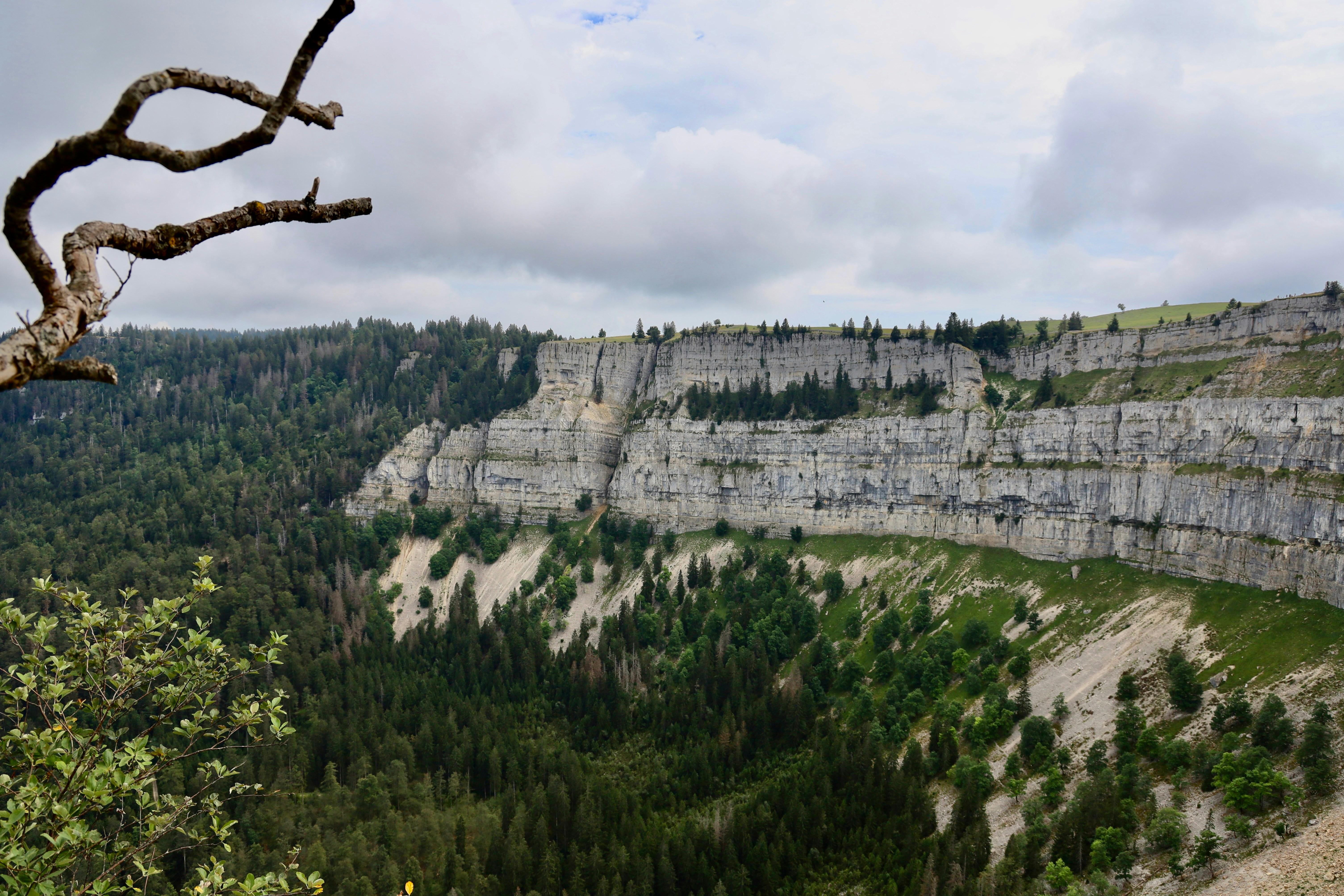 Photo by maximilian_brand