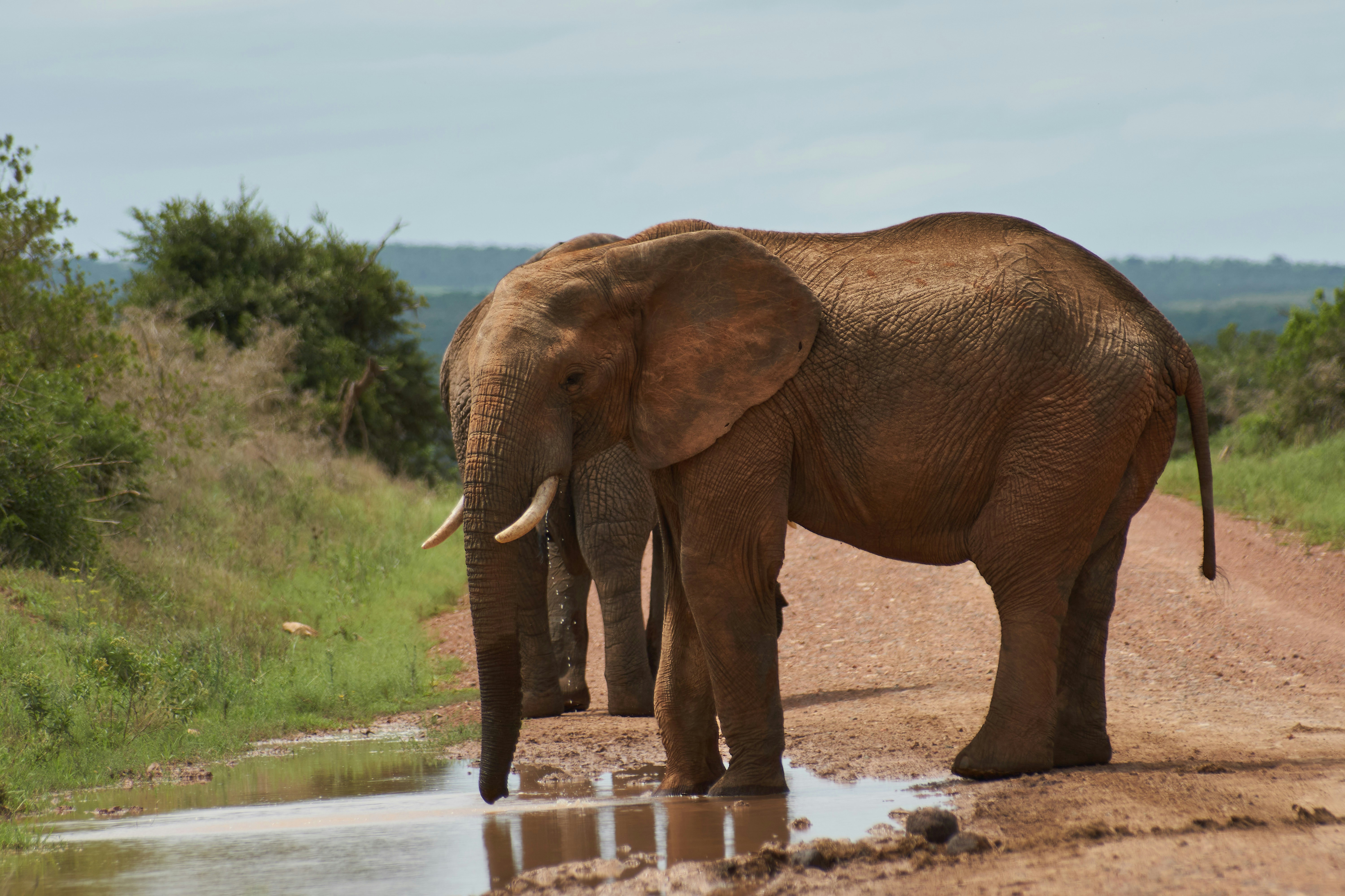 Photo by wolfgang_hasselmann