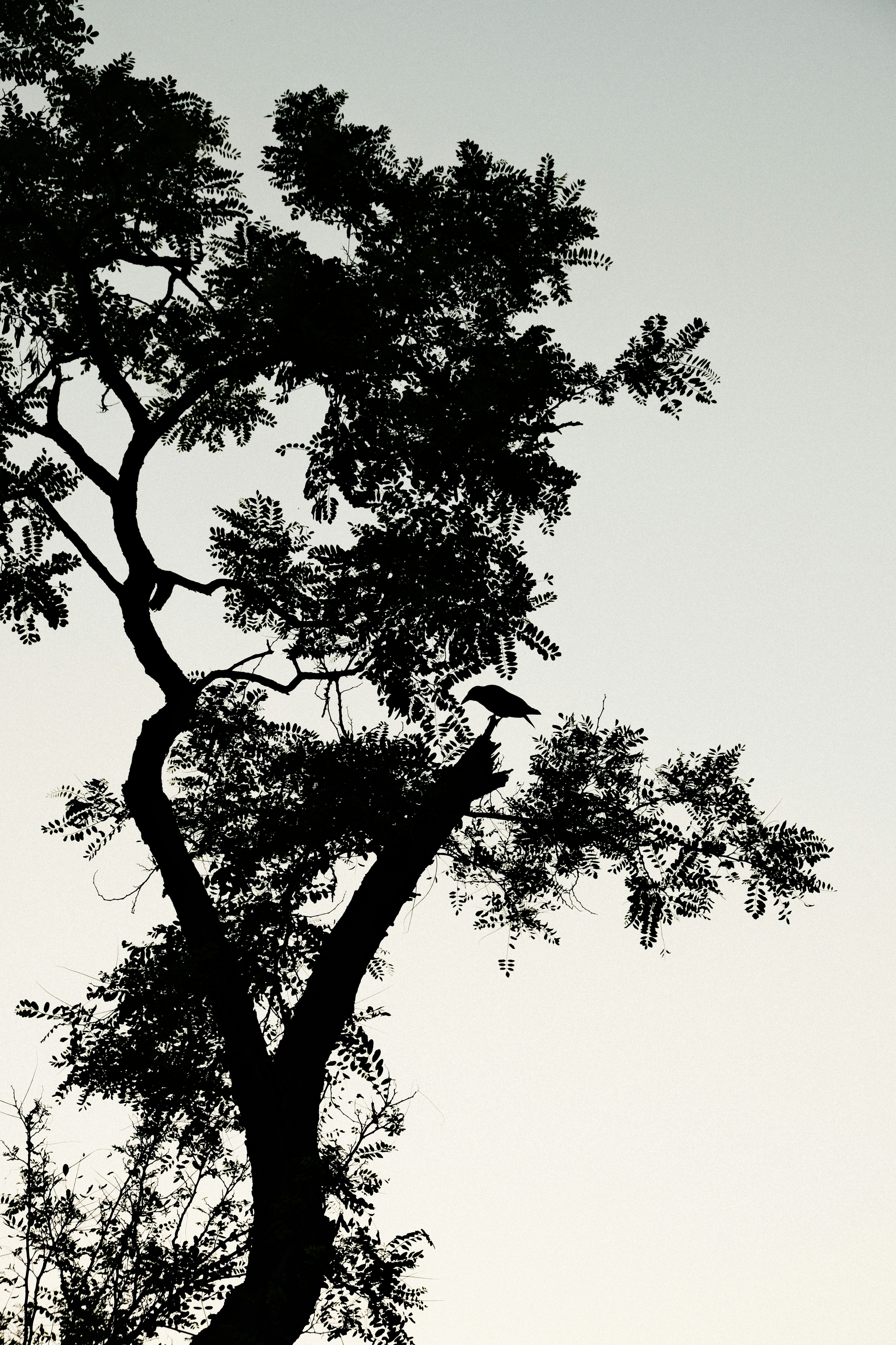 Photo by marishphoto