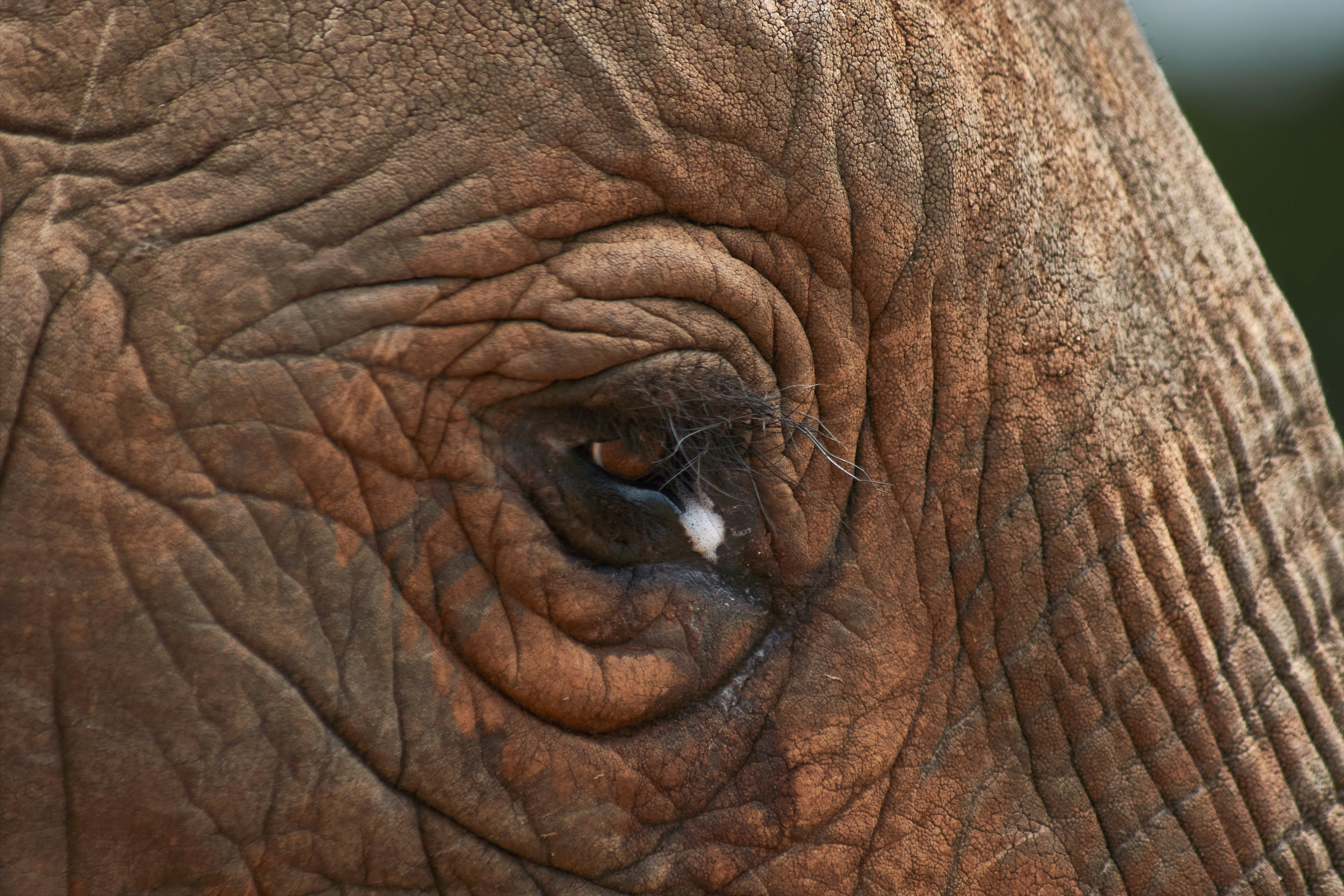 Photo by wolfgang_hasselmann