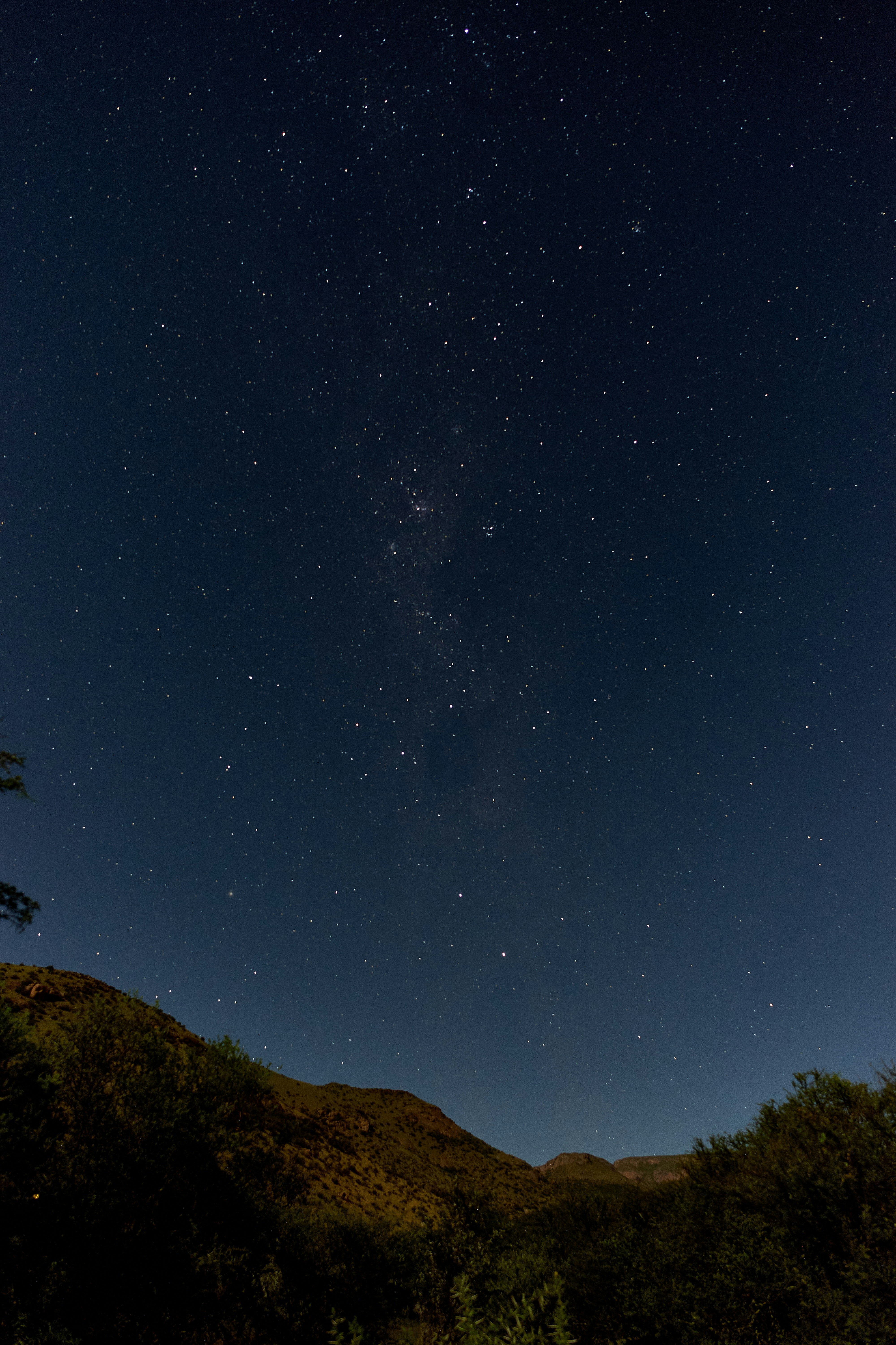 Photo by wolfgang_hasselmann