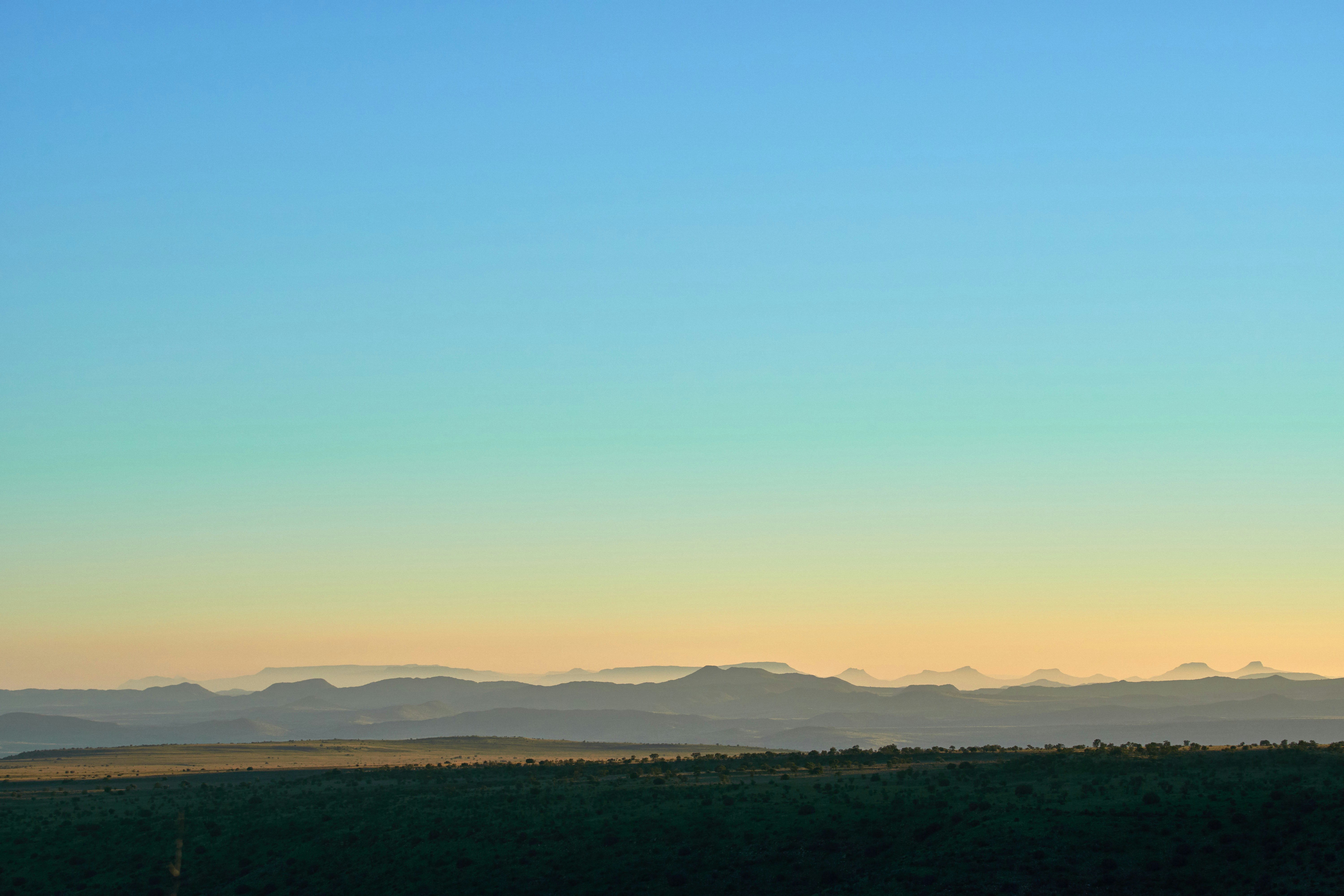 Photo by wolfgang_hasselmann