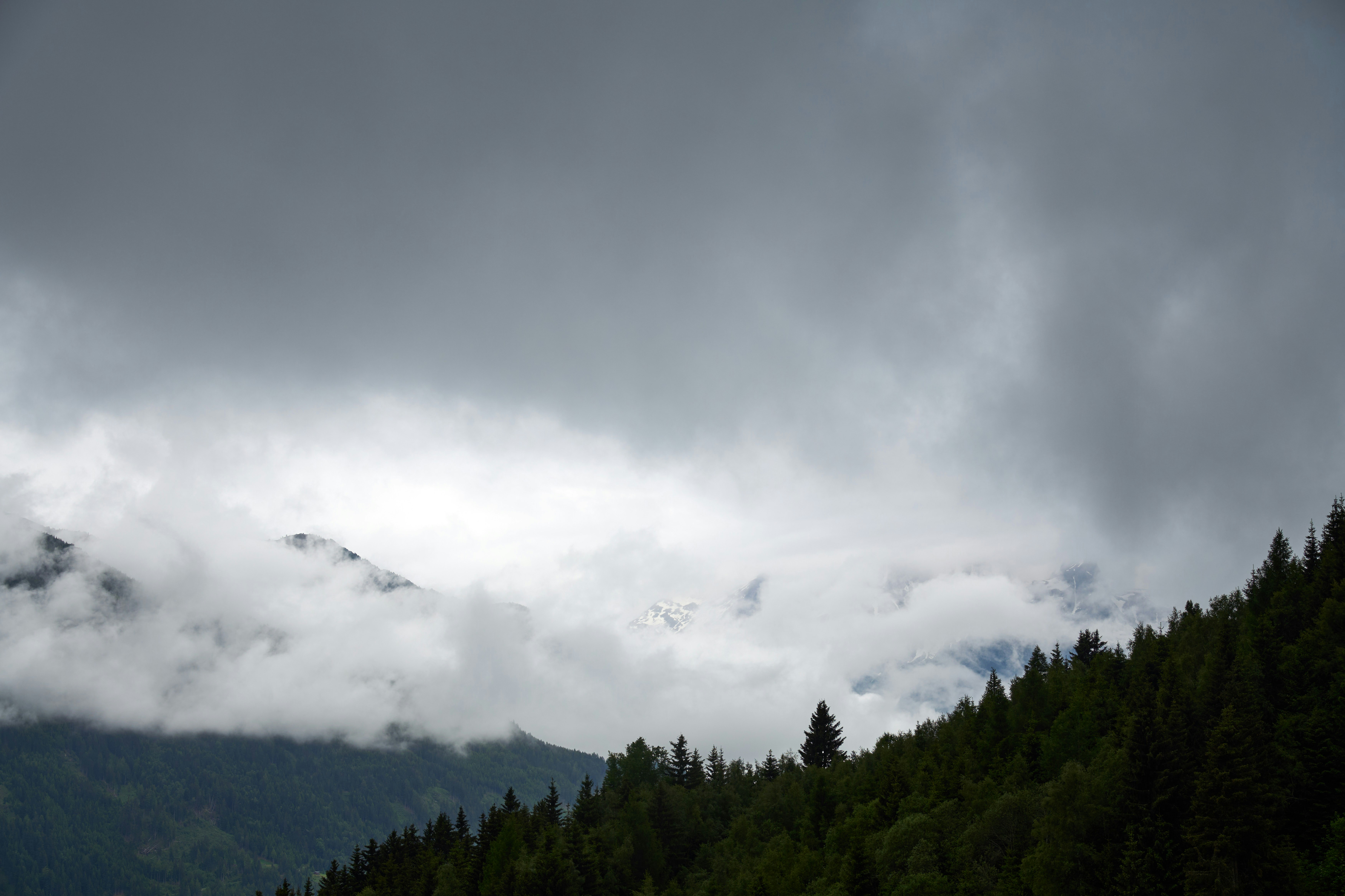 Photo by wolfgang_hasselmann