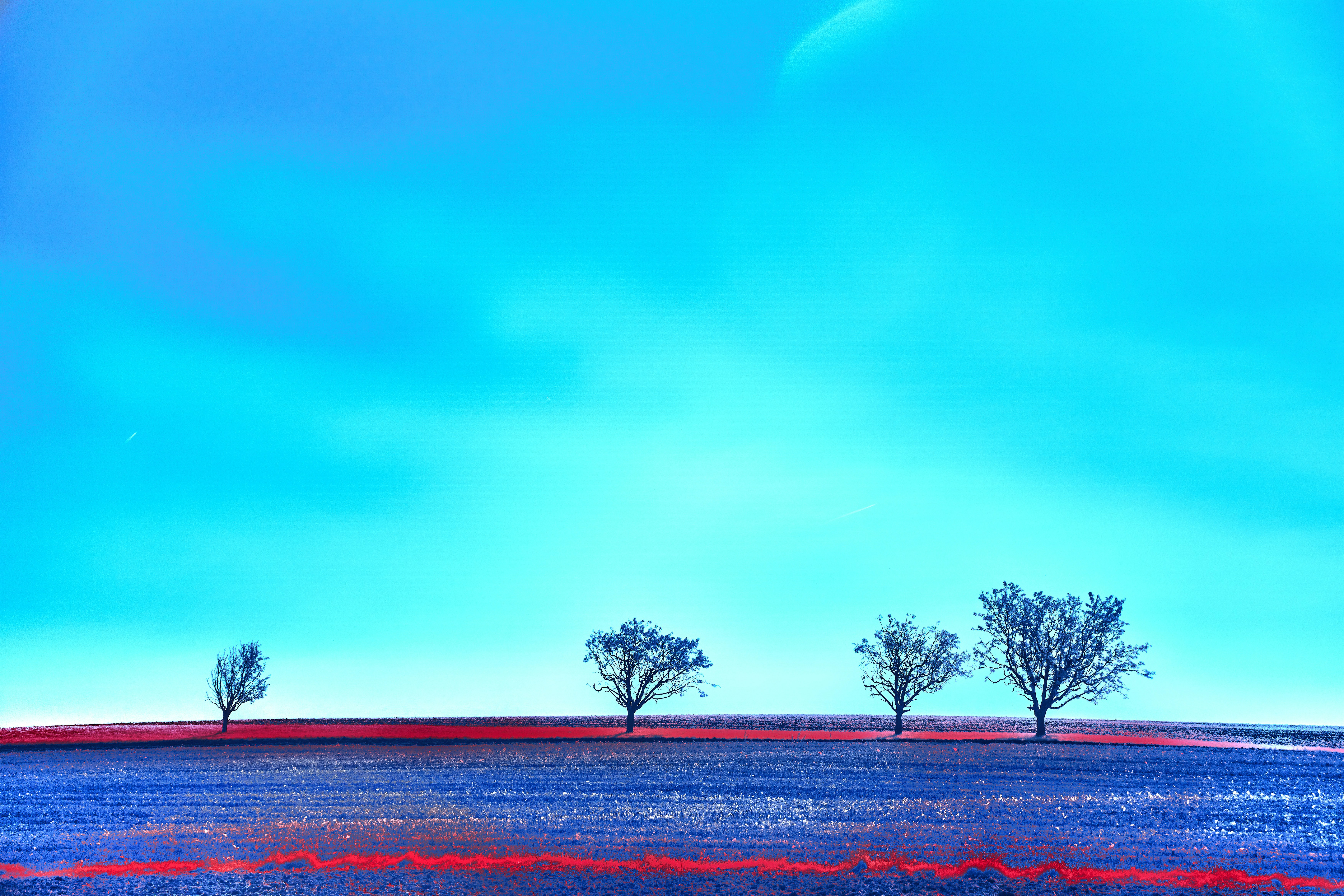 Photo by wolfgang_hasselmann