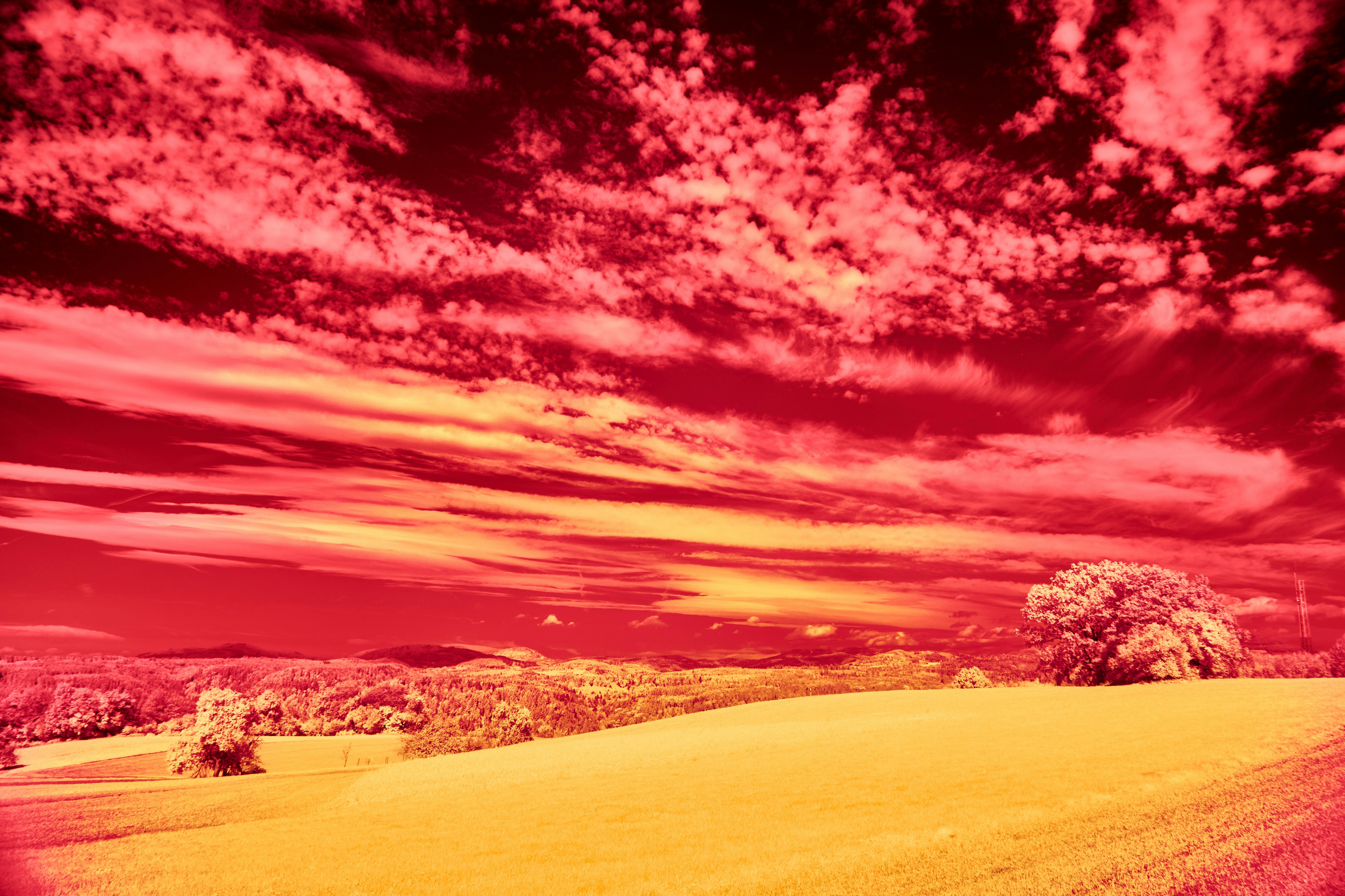 Photo by wolfgang_hasselmann