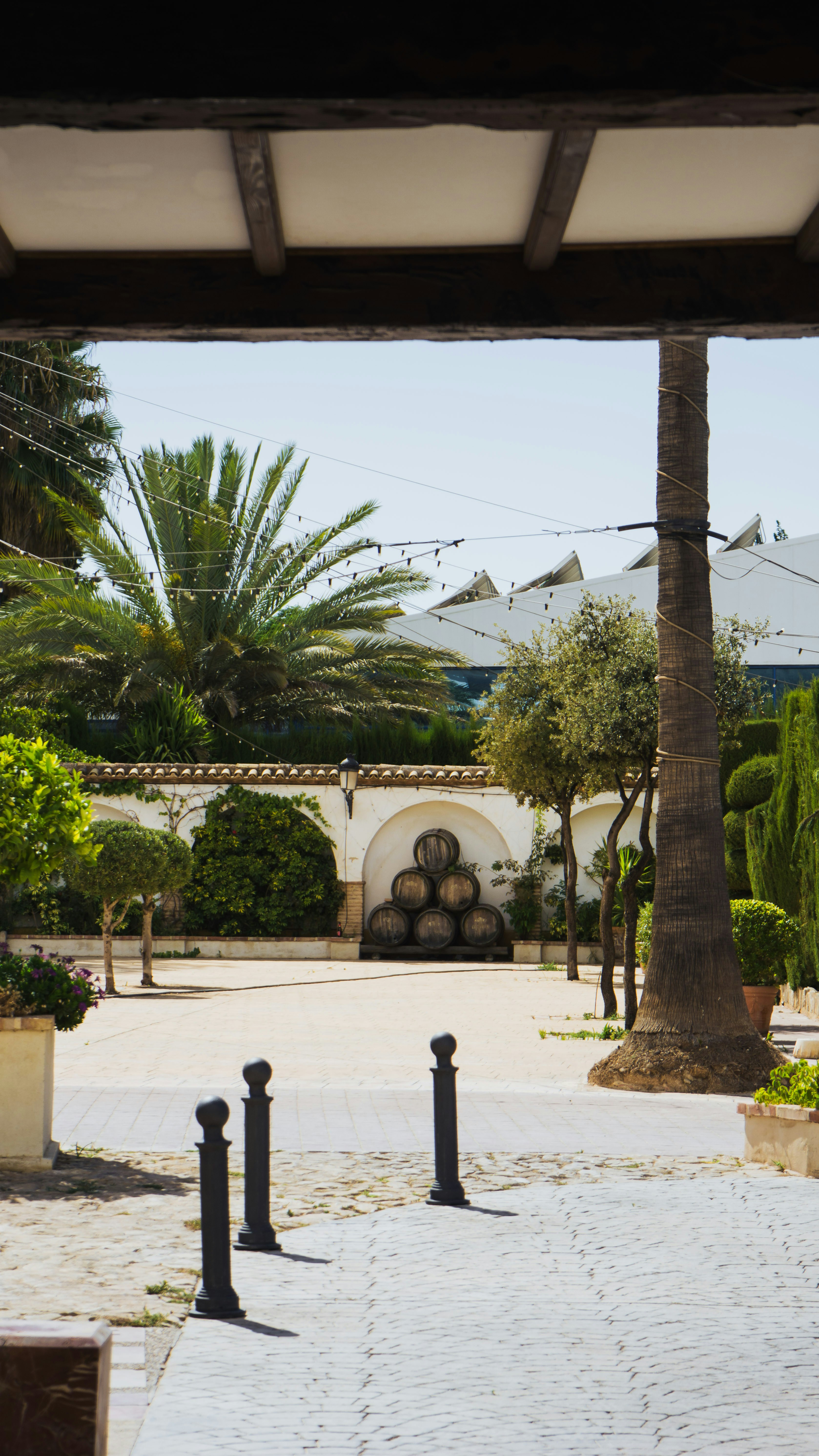 Photo by avenir_visuals