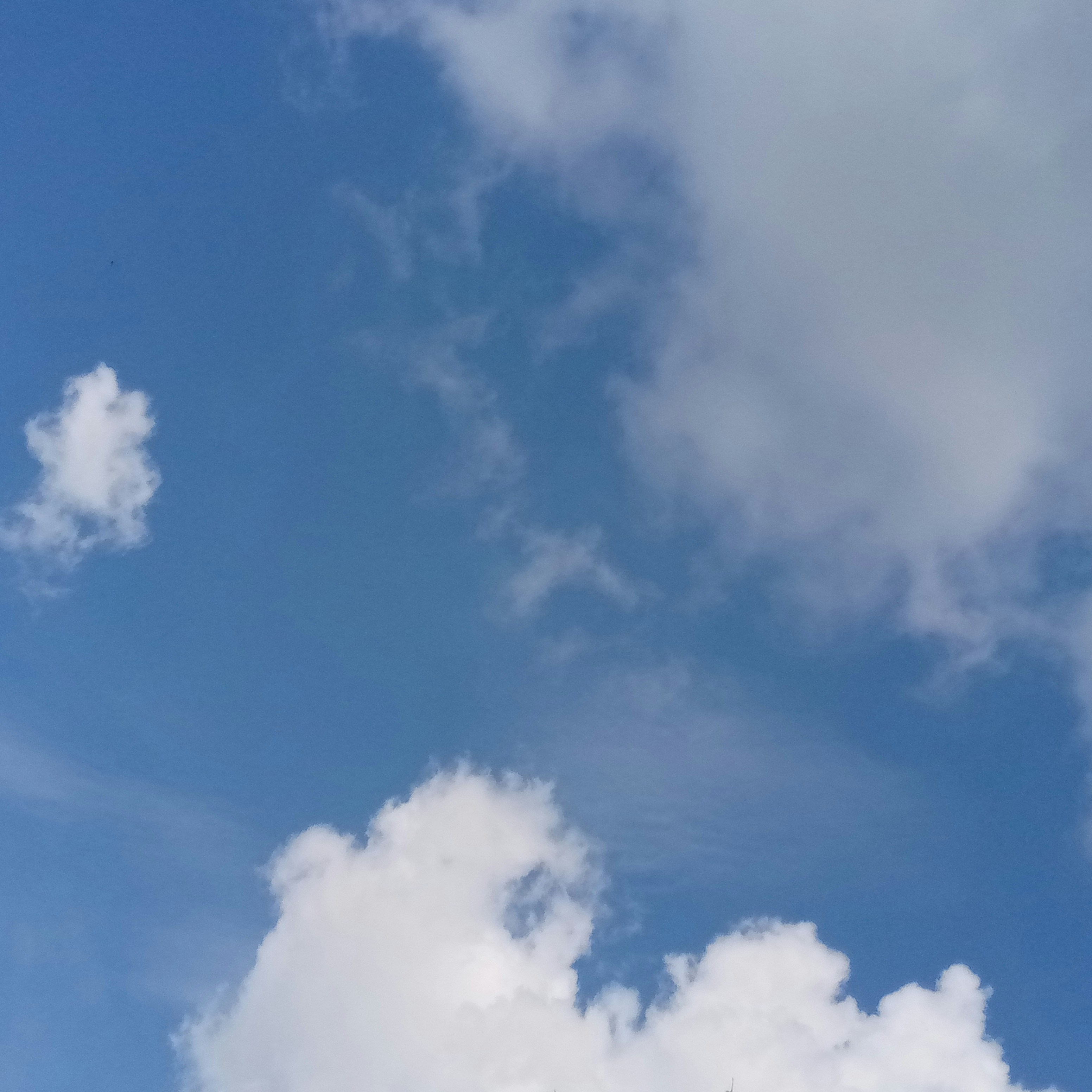 Photo by mishinoor9876