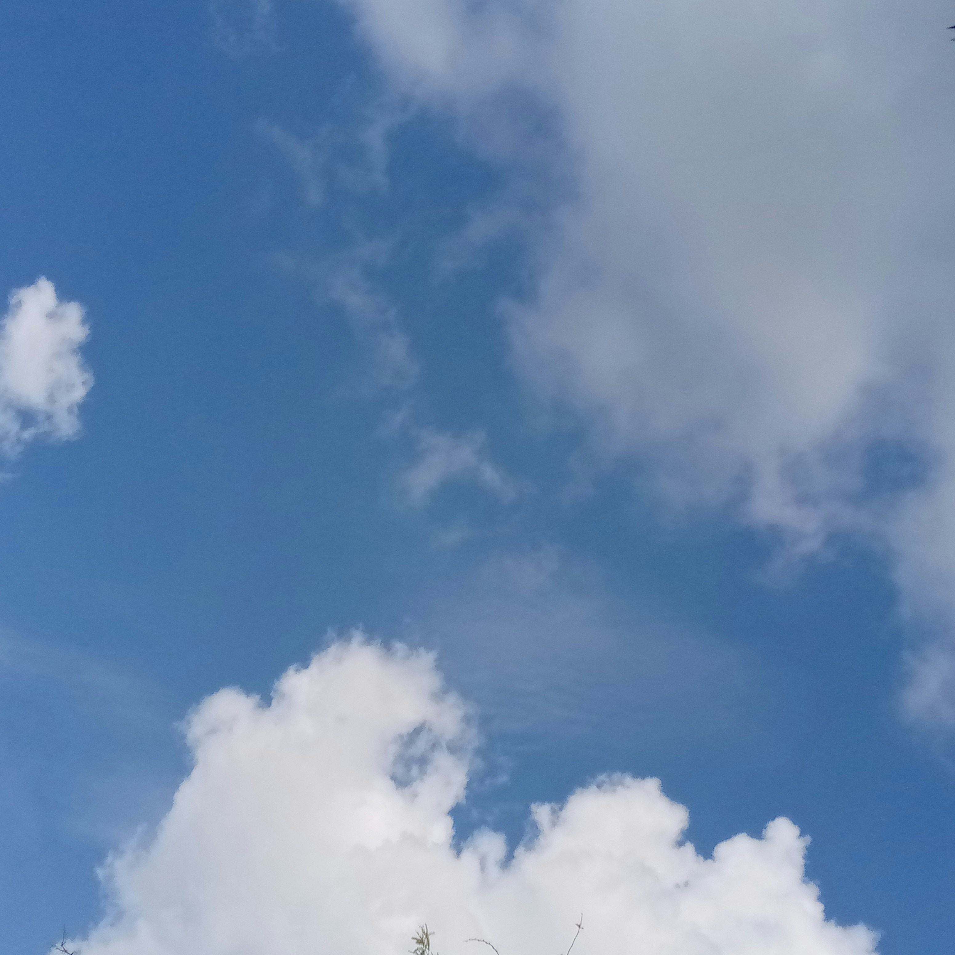 Photo by mishinoor9876