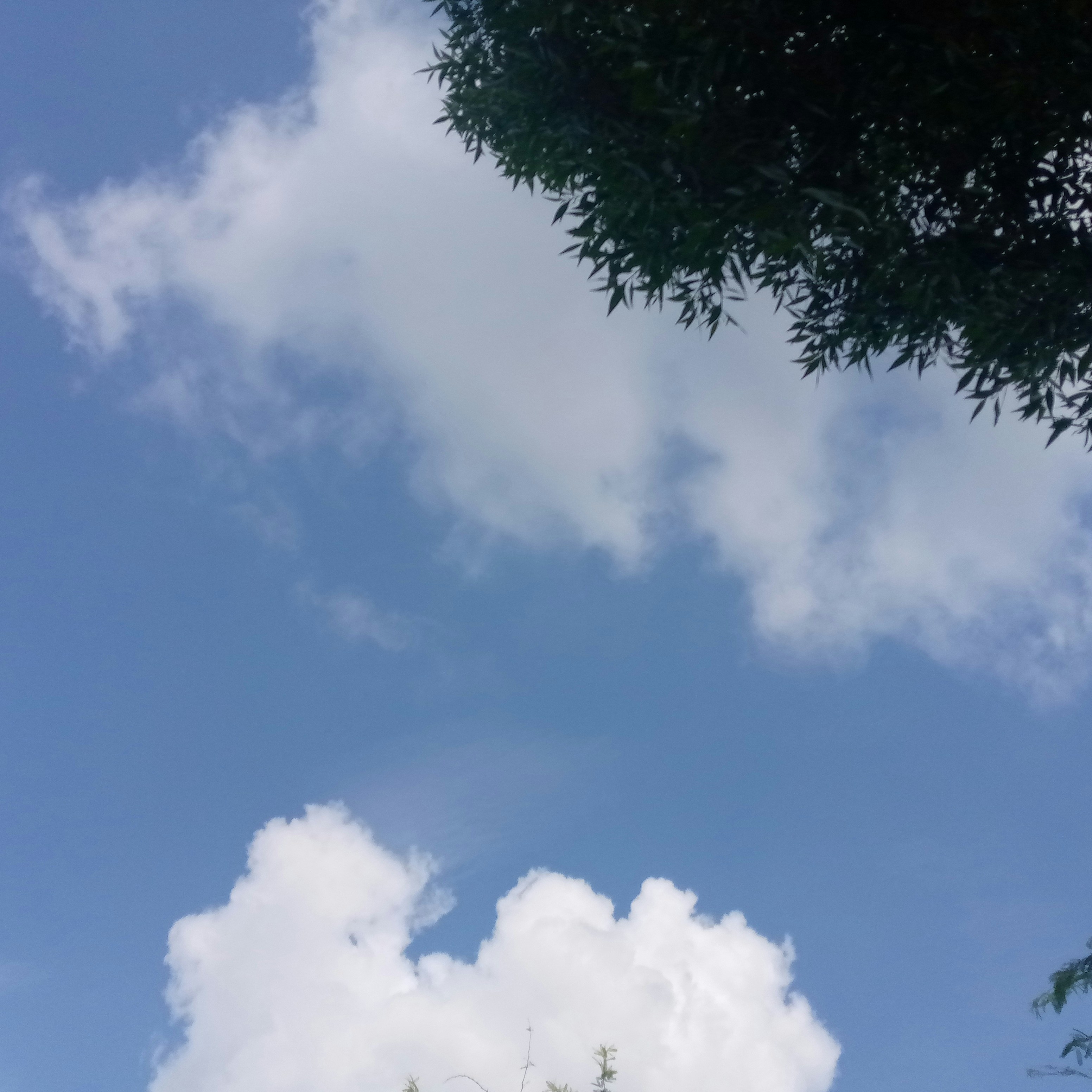 A stop sign in front of a blue sky with clouds