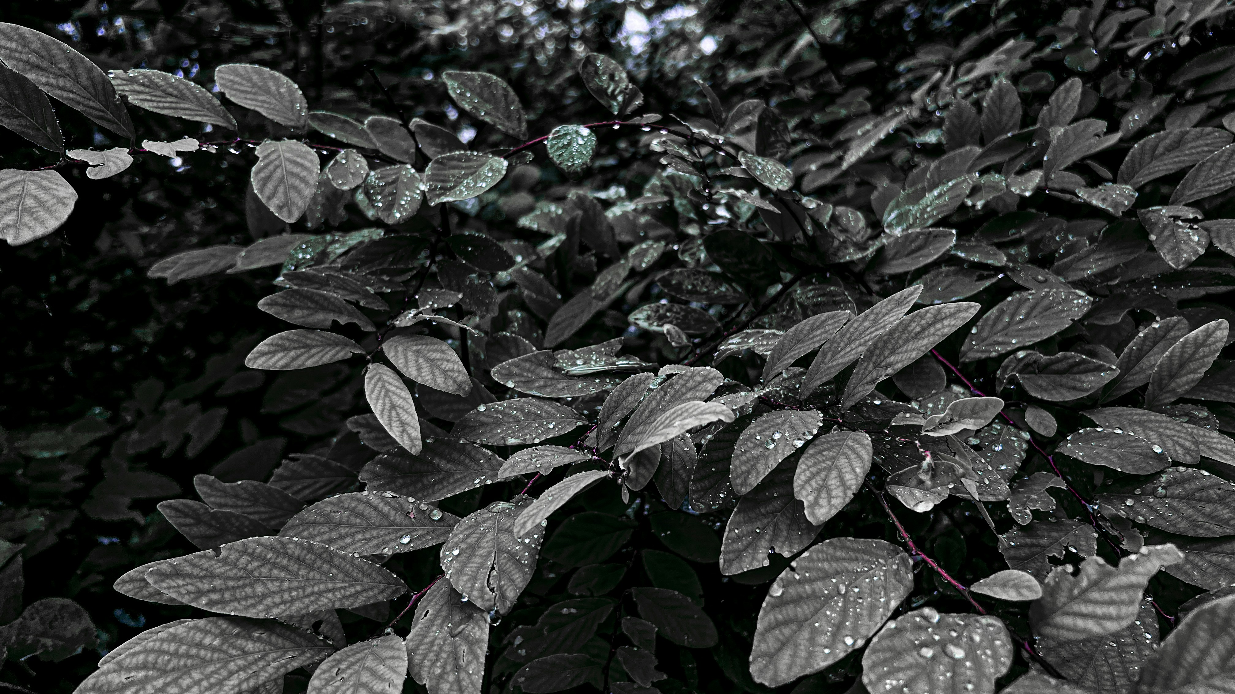 Photo by raymondpaulv