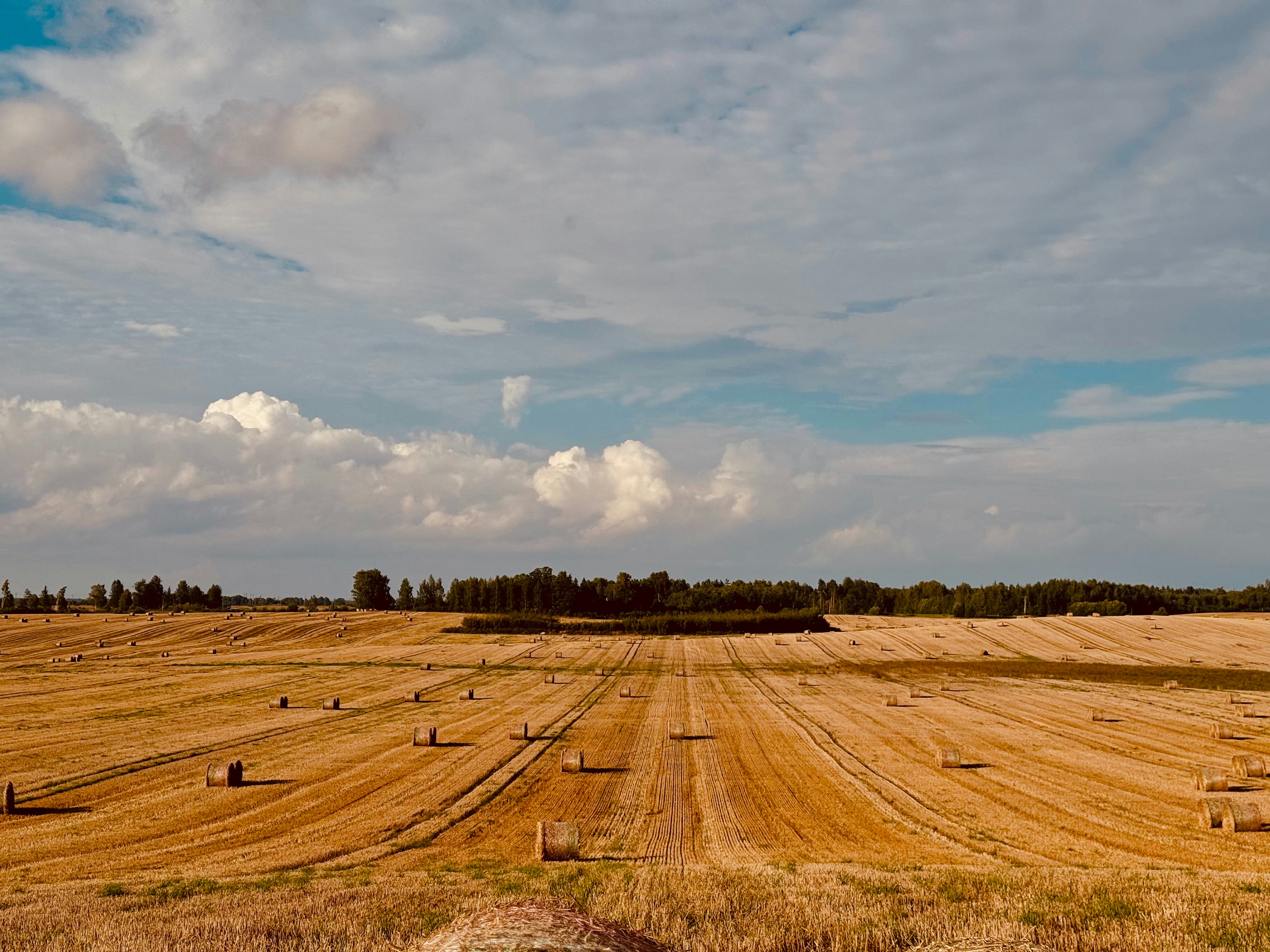 Photo by raymatthewx