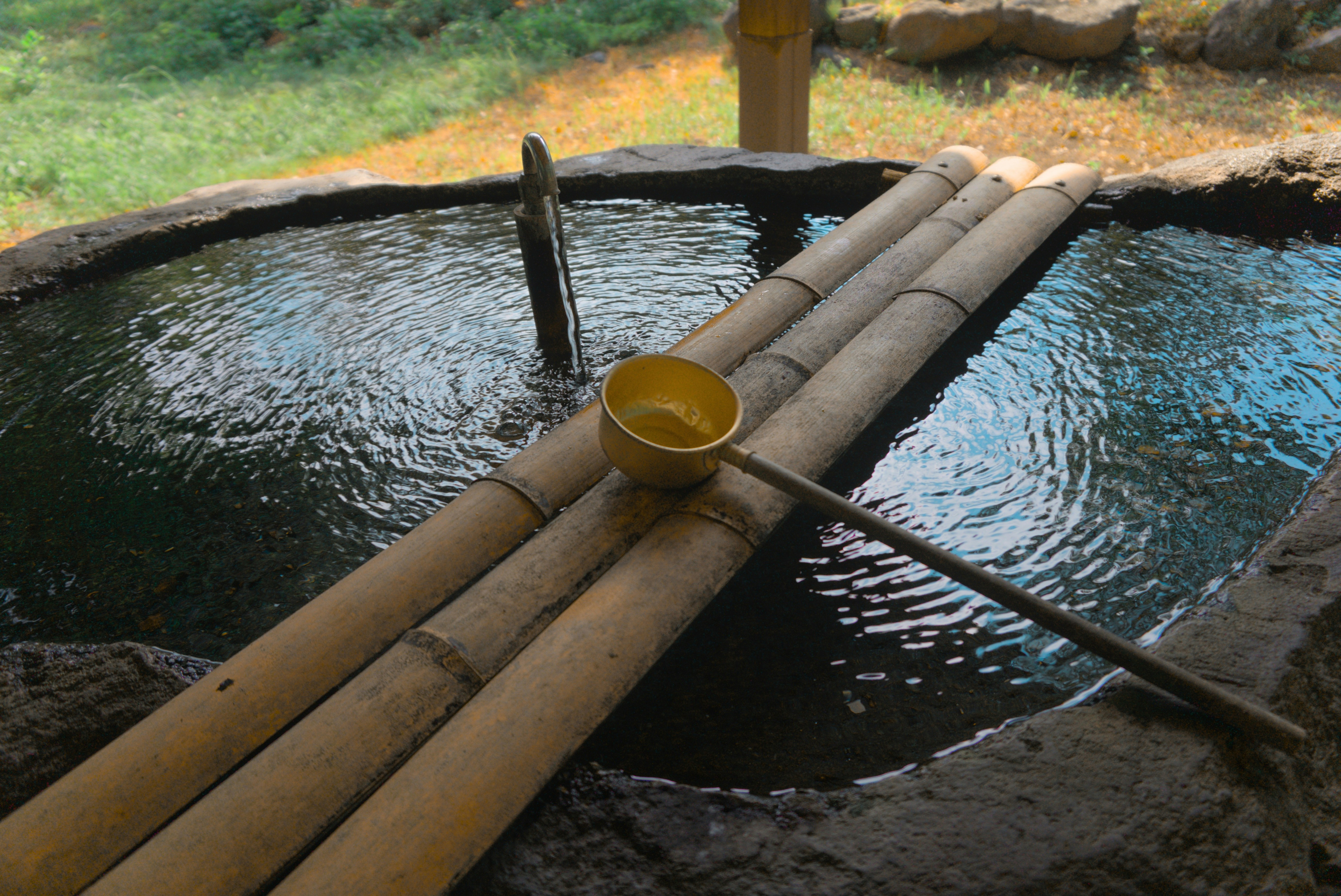 Newsletter October 2024