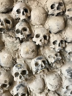 A bunch of skulls that are on a wall