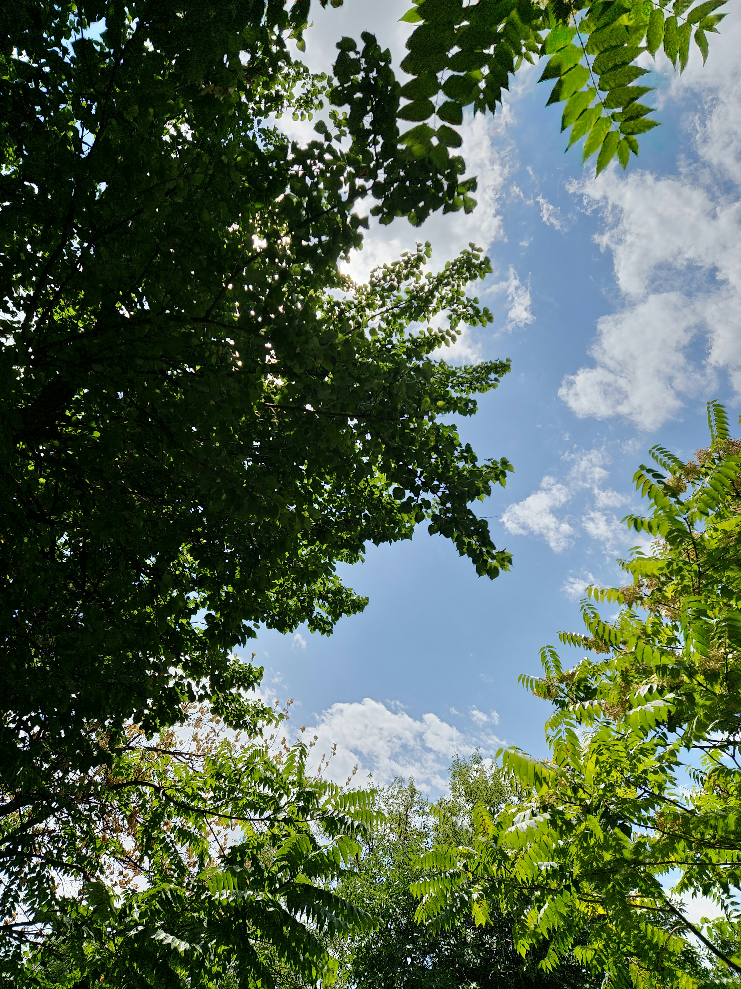 Photo by gela_radiance77