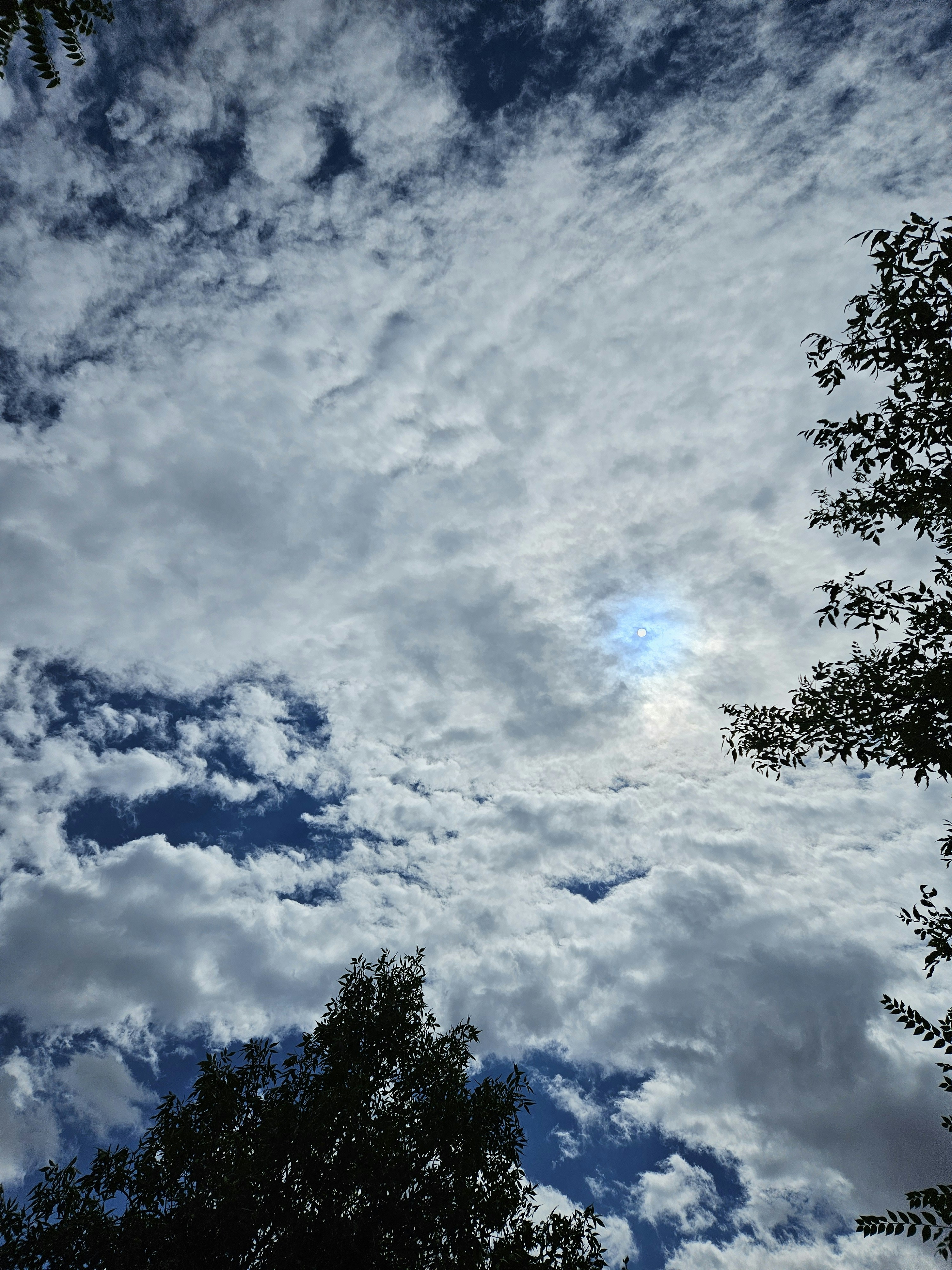 A blue sky filled with clouds and trees