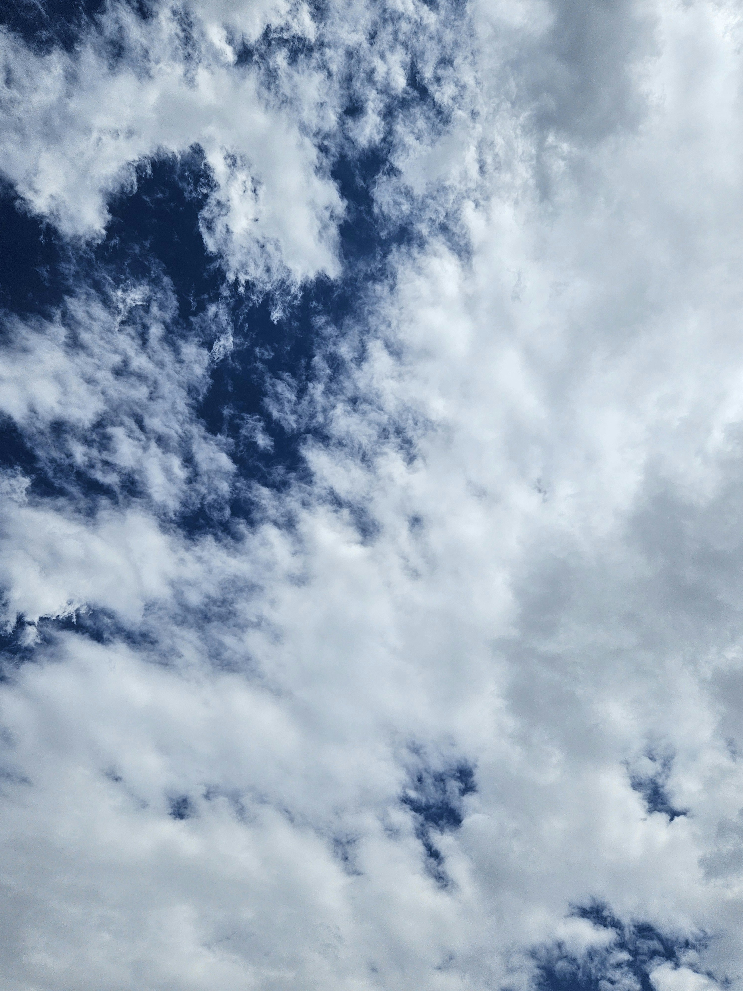 Photo by gela_radiance77