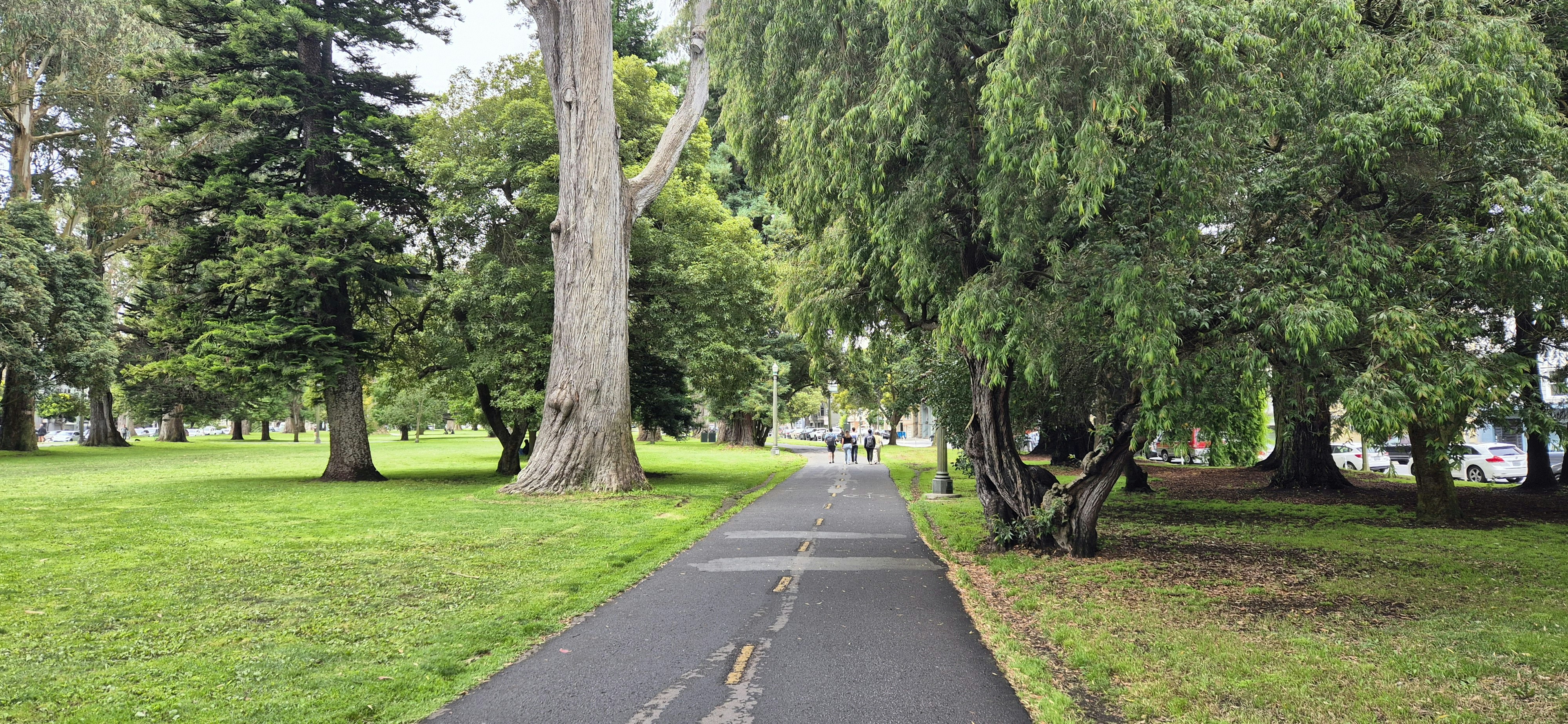 Monday Morning Headlines: For SF Schoolkids, It's Like 2020 All Over Again