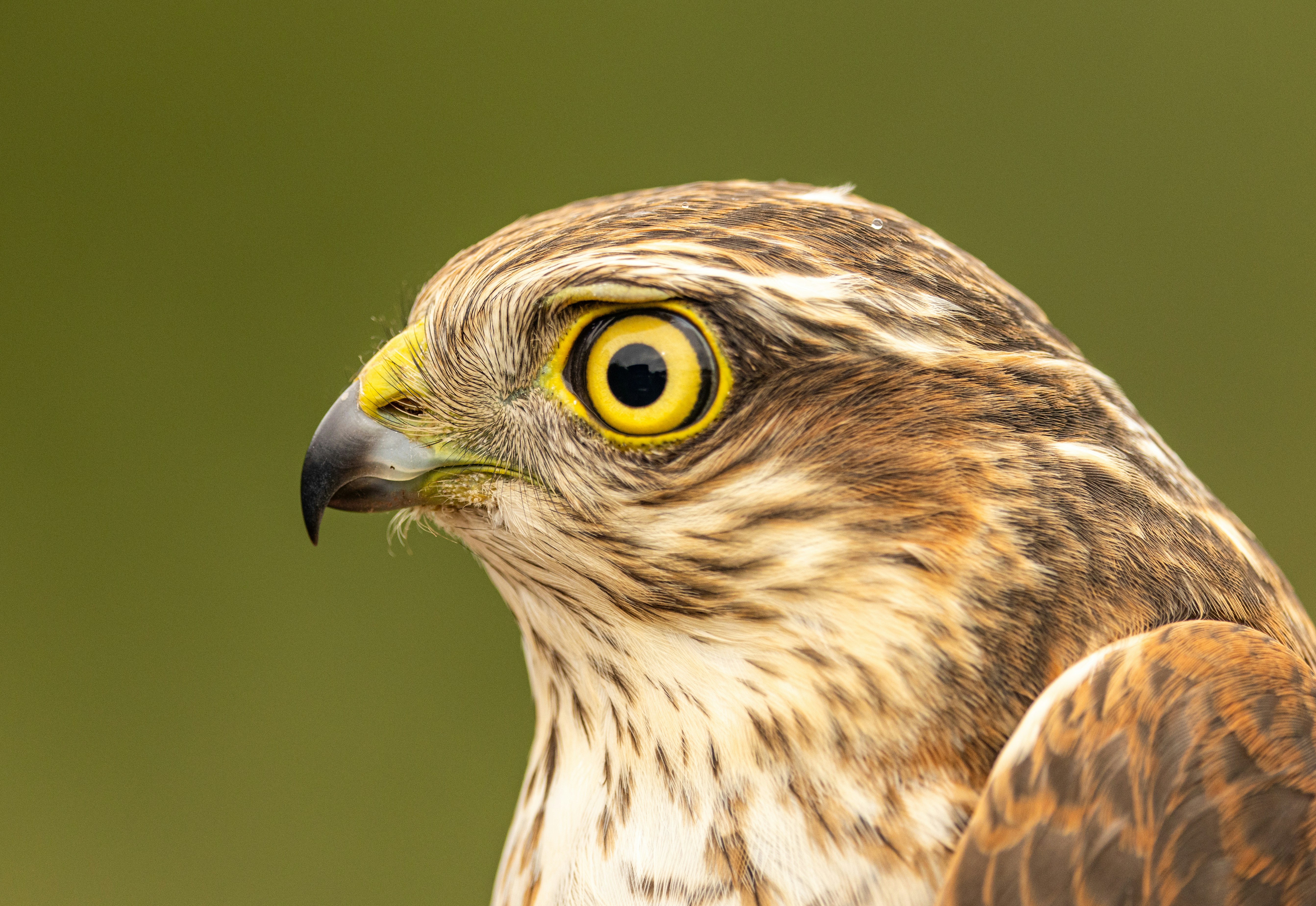 Photo by heather_wilde