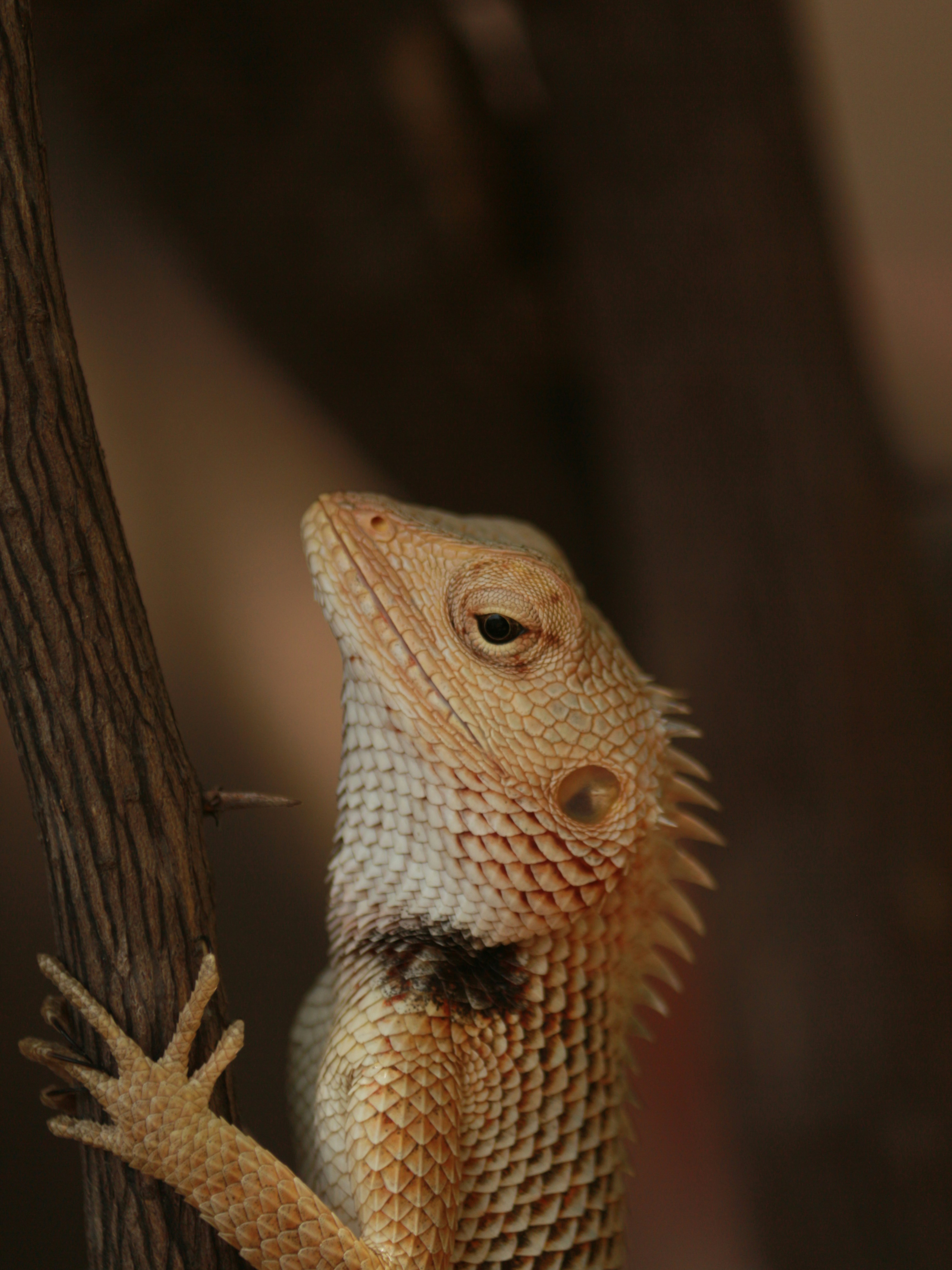 Photo by saiteja_varma