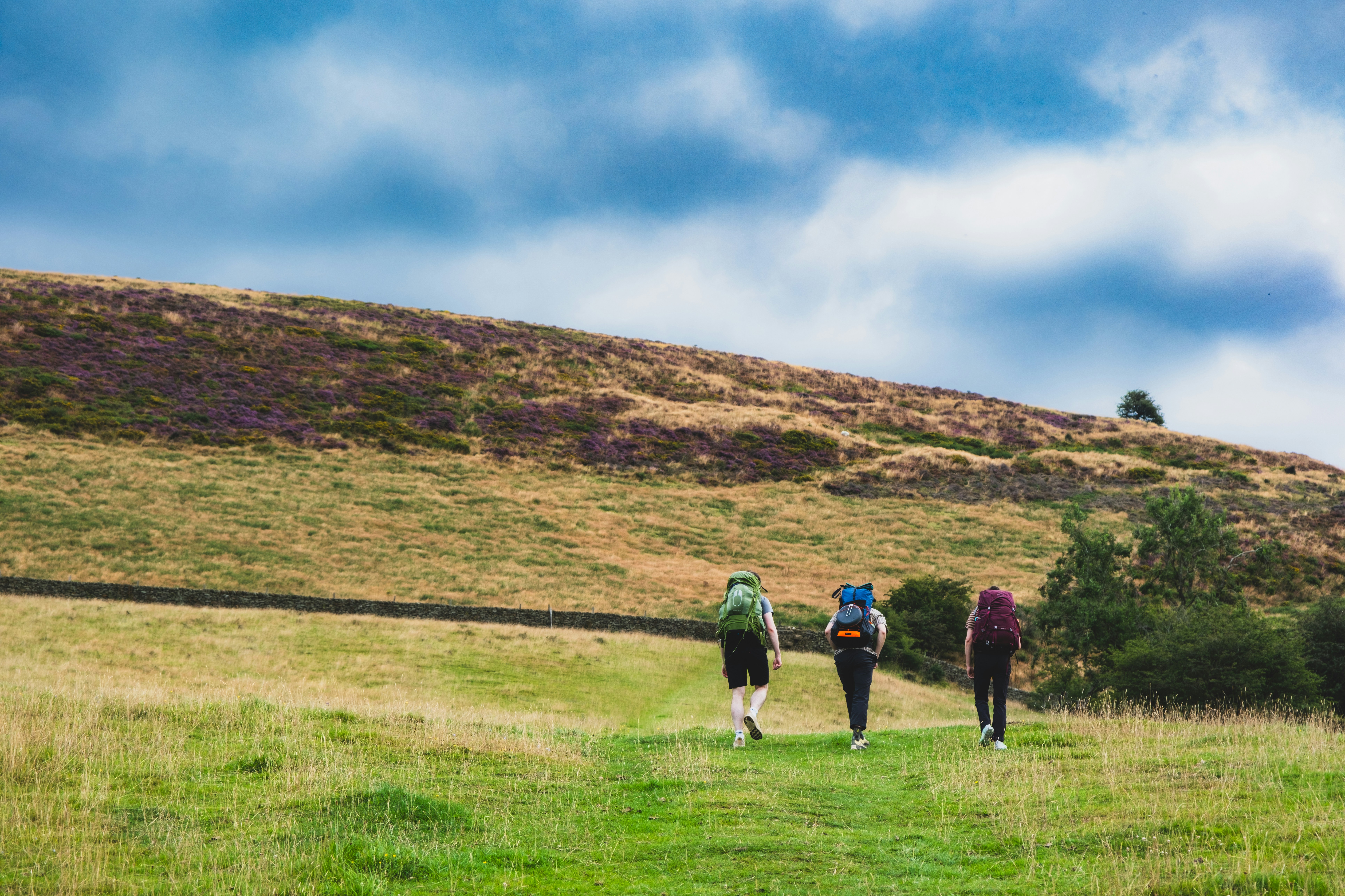 Grace is not opposed to effort, it is