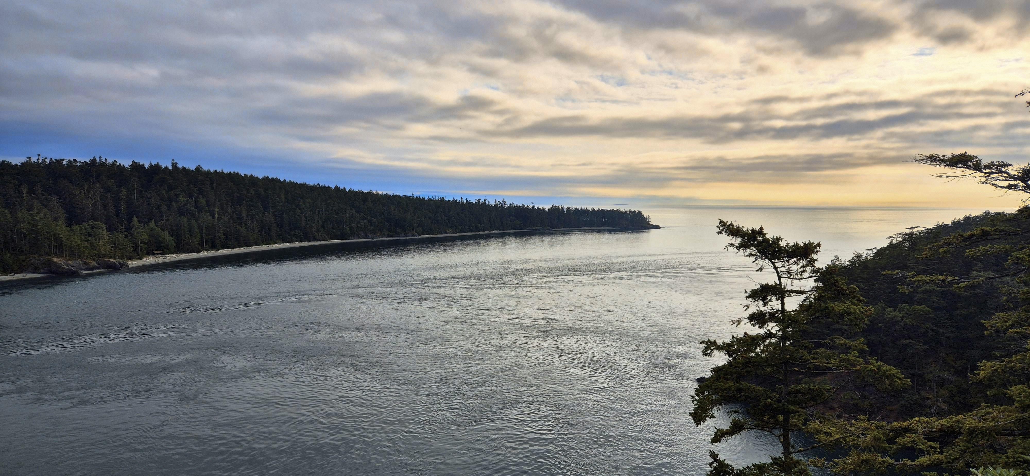 A body of water surrounded by trees under a cloudy sky
