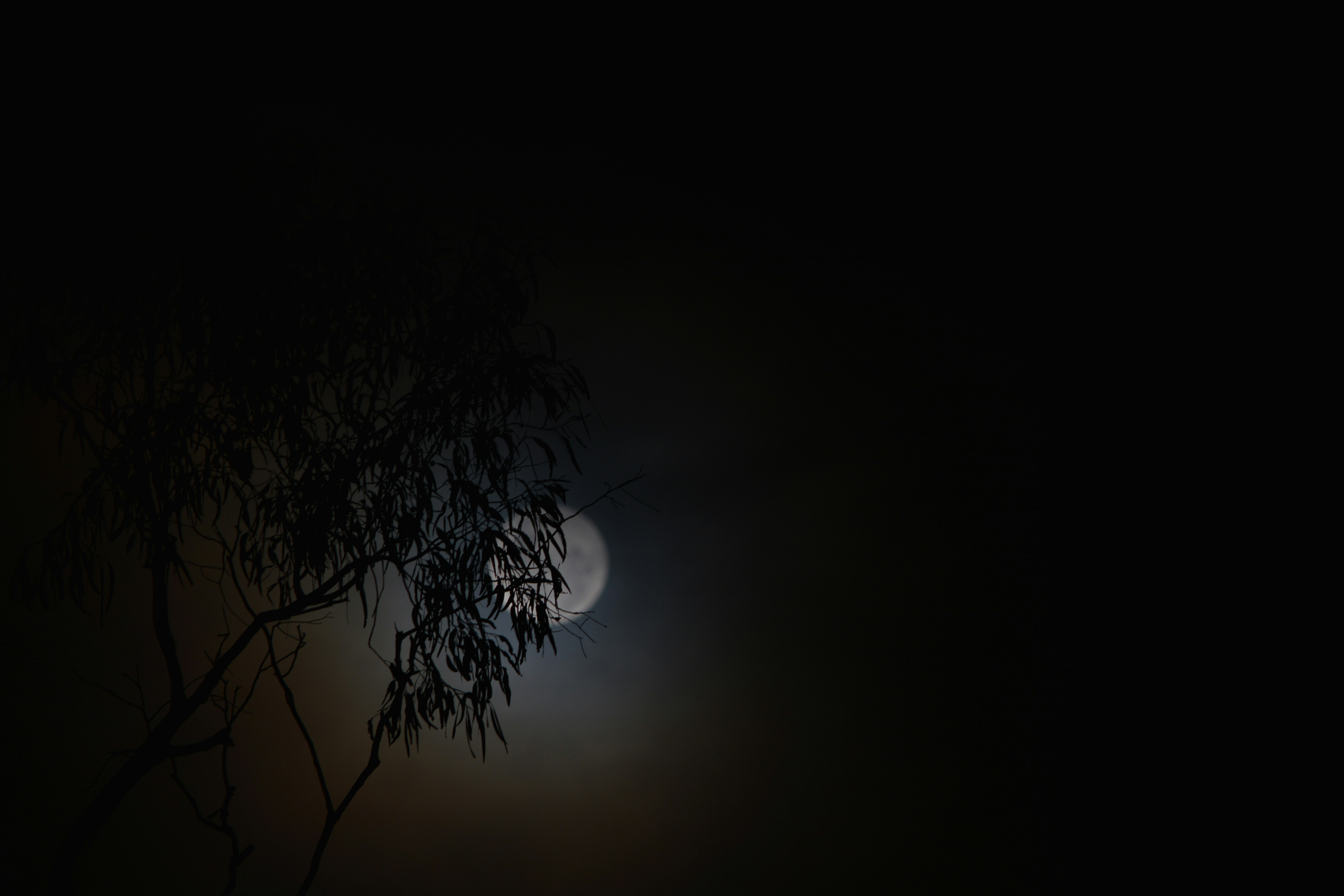 Photo by harlan_ashworth