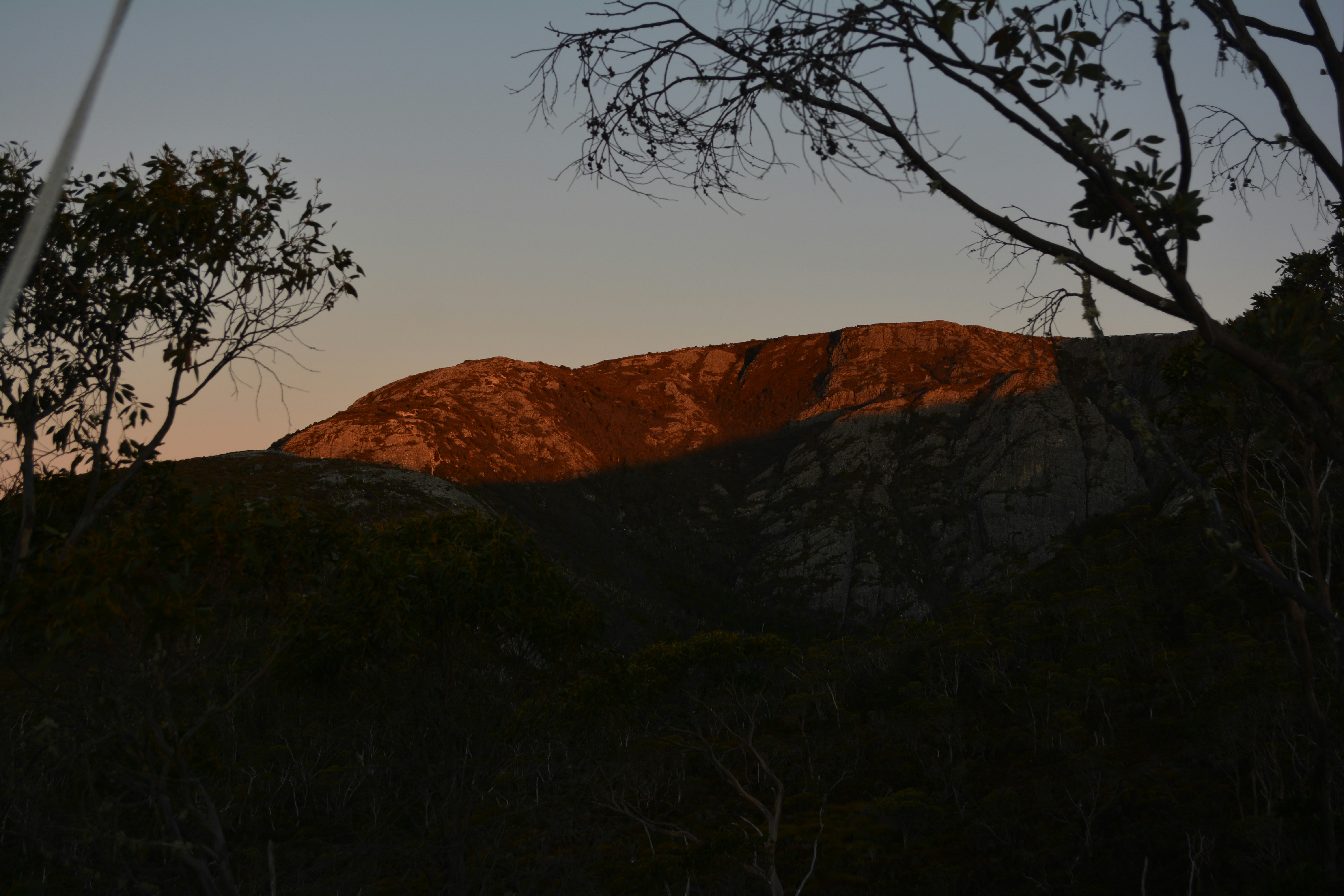A view of a mountain at sunset with trees in the foreground