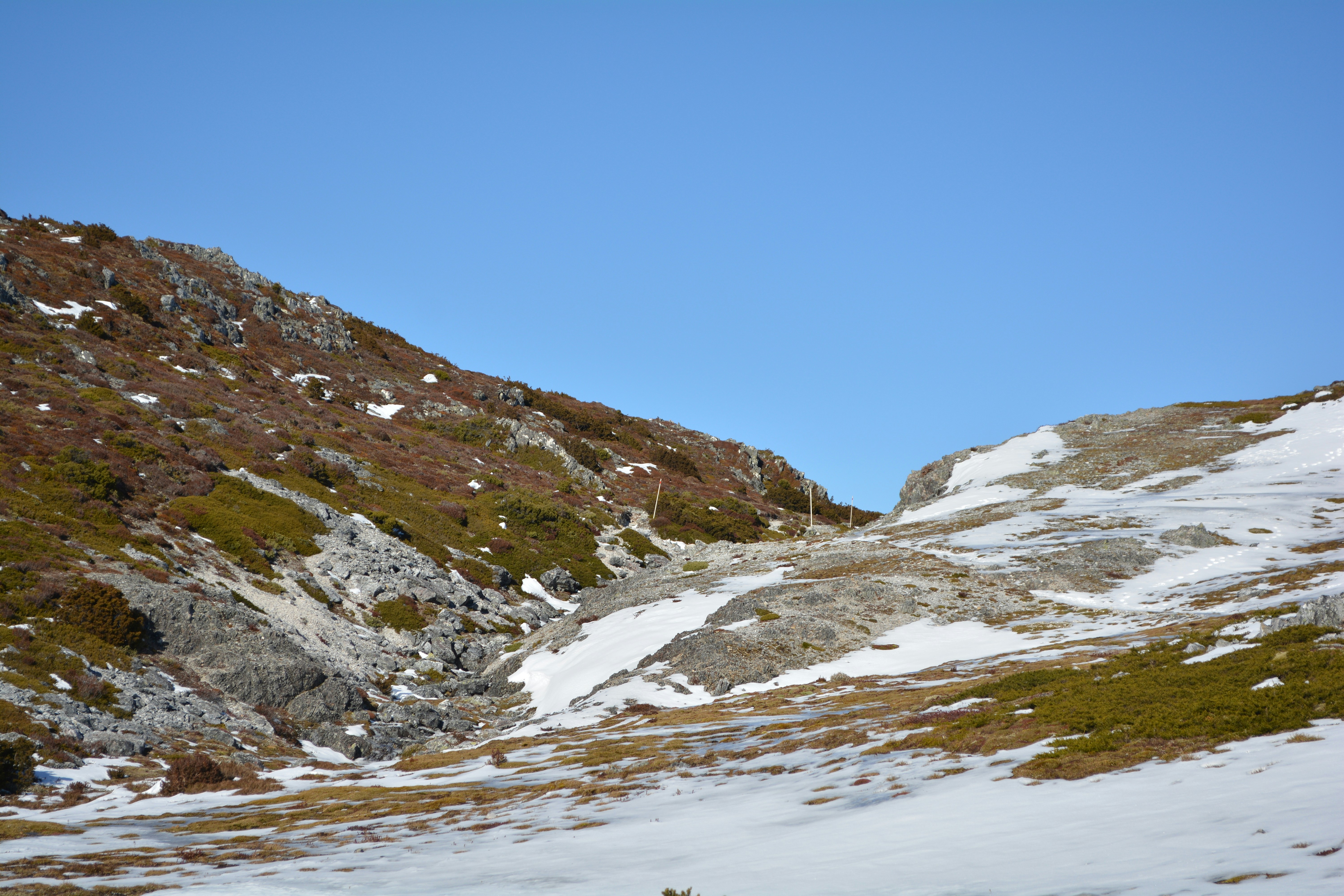 Photo by harlan_ashworth