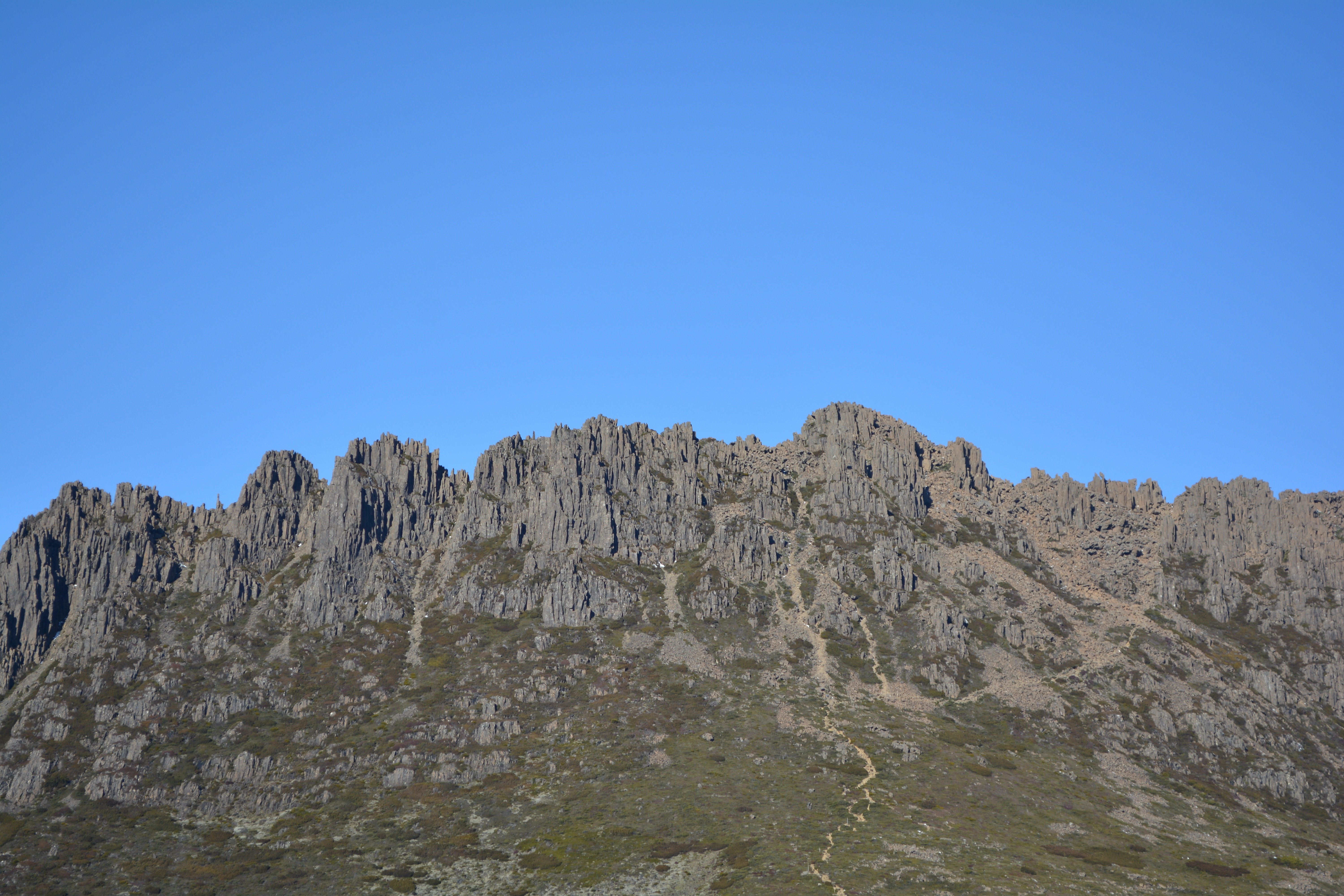 Queens Domain, Tasmania