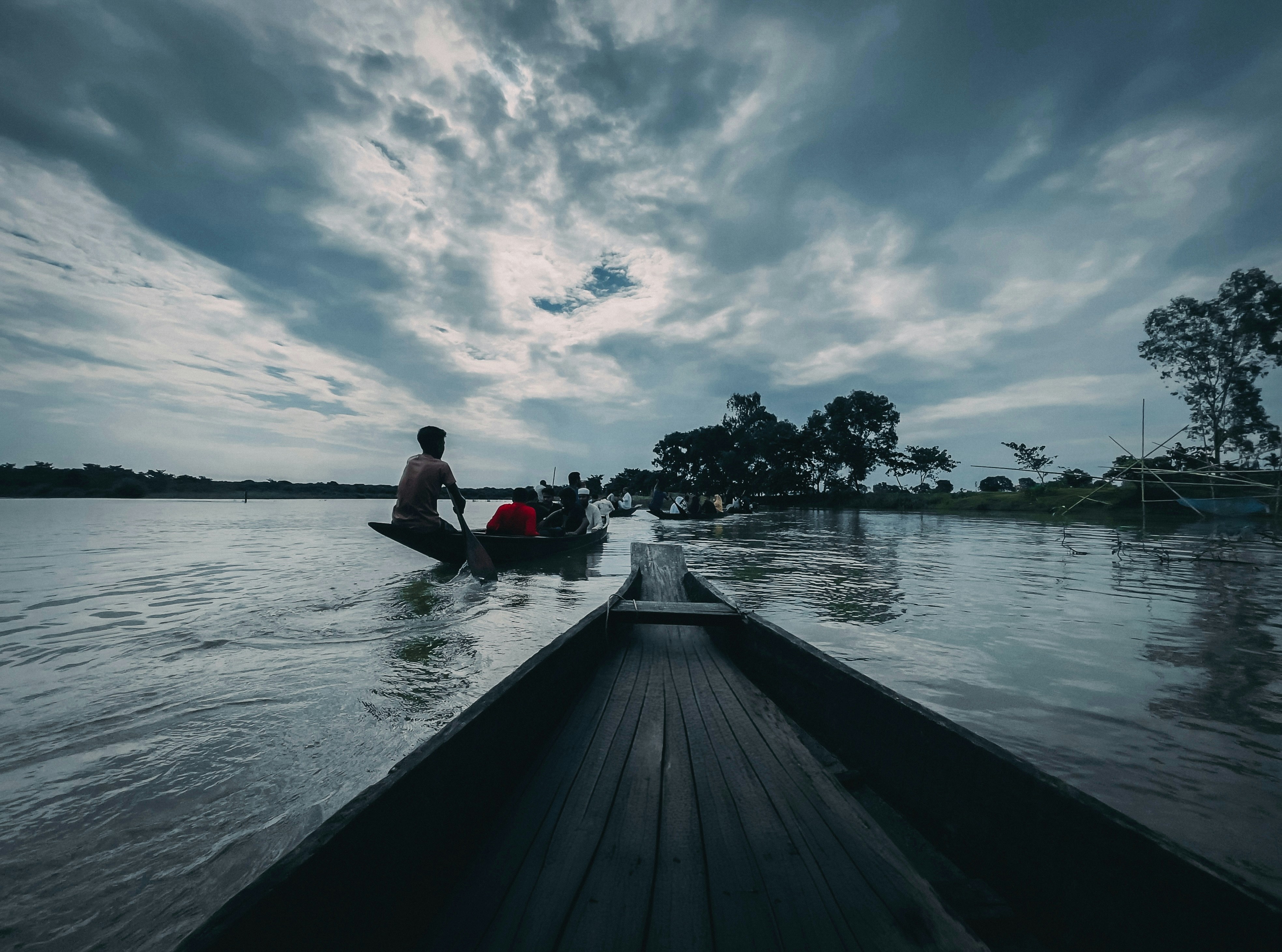 Photo of Ratargul Swamp Forest