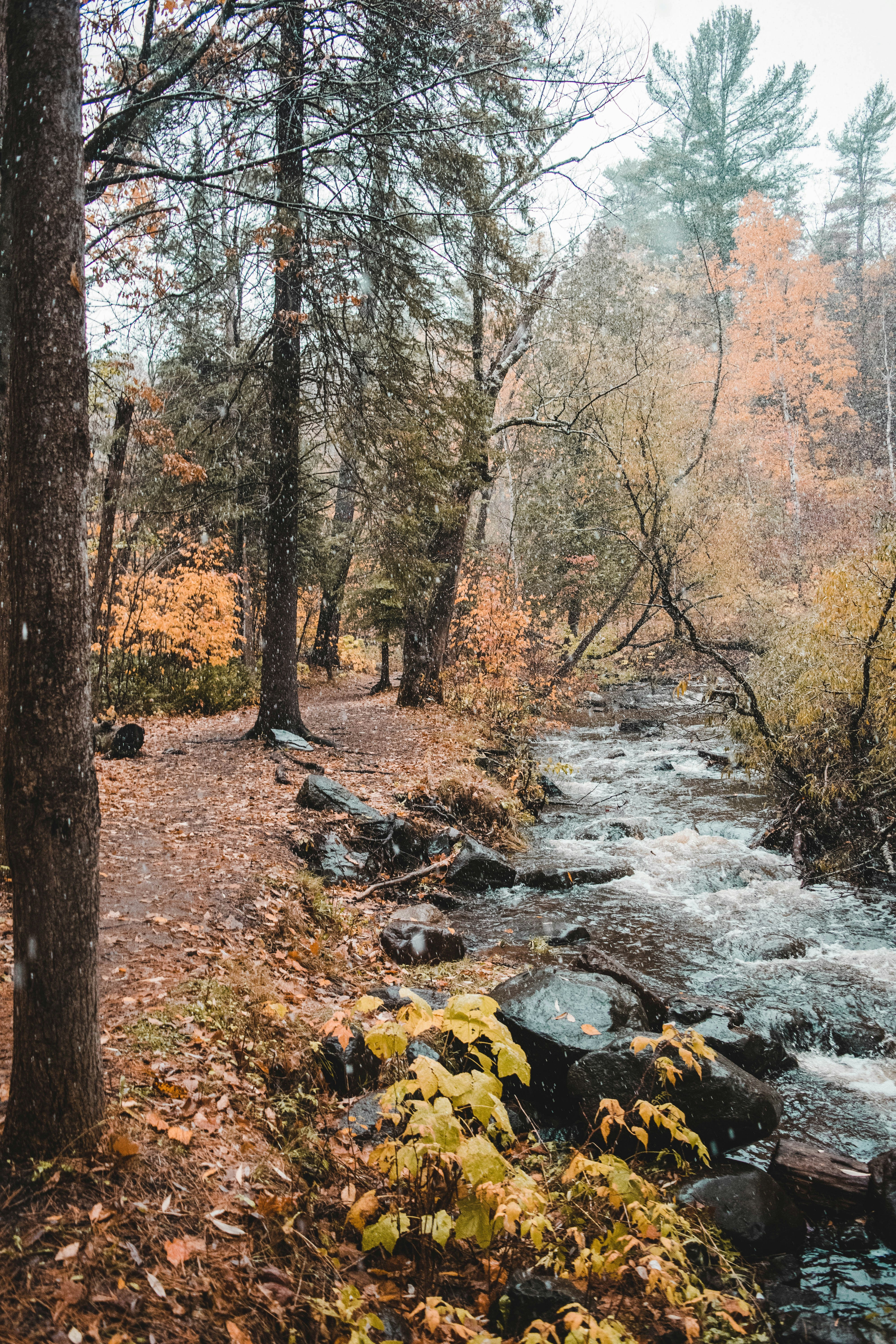 Photo by findenmarketing