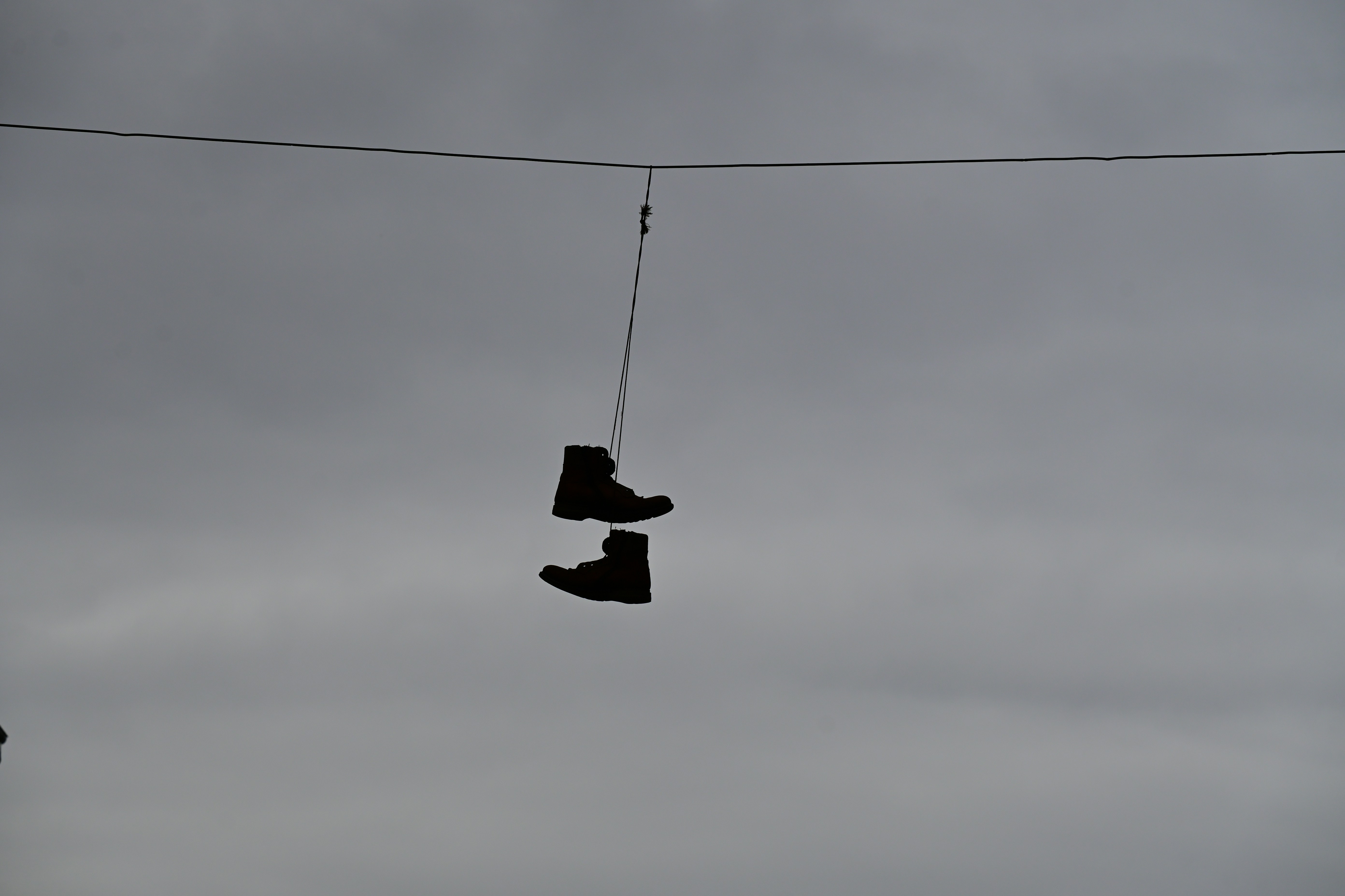 Photo by aminzabardast