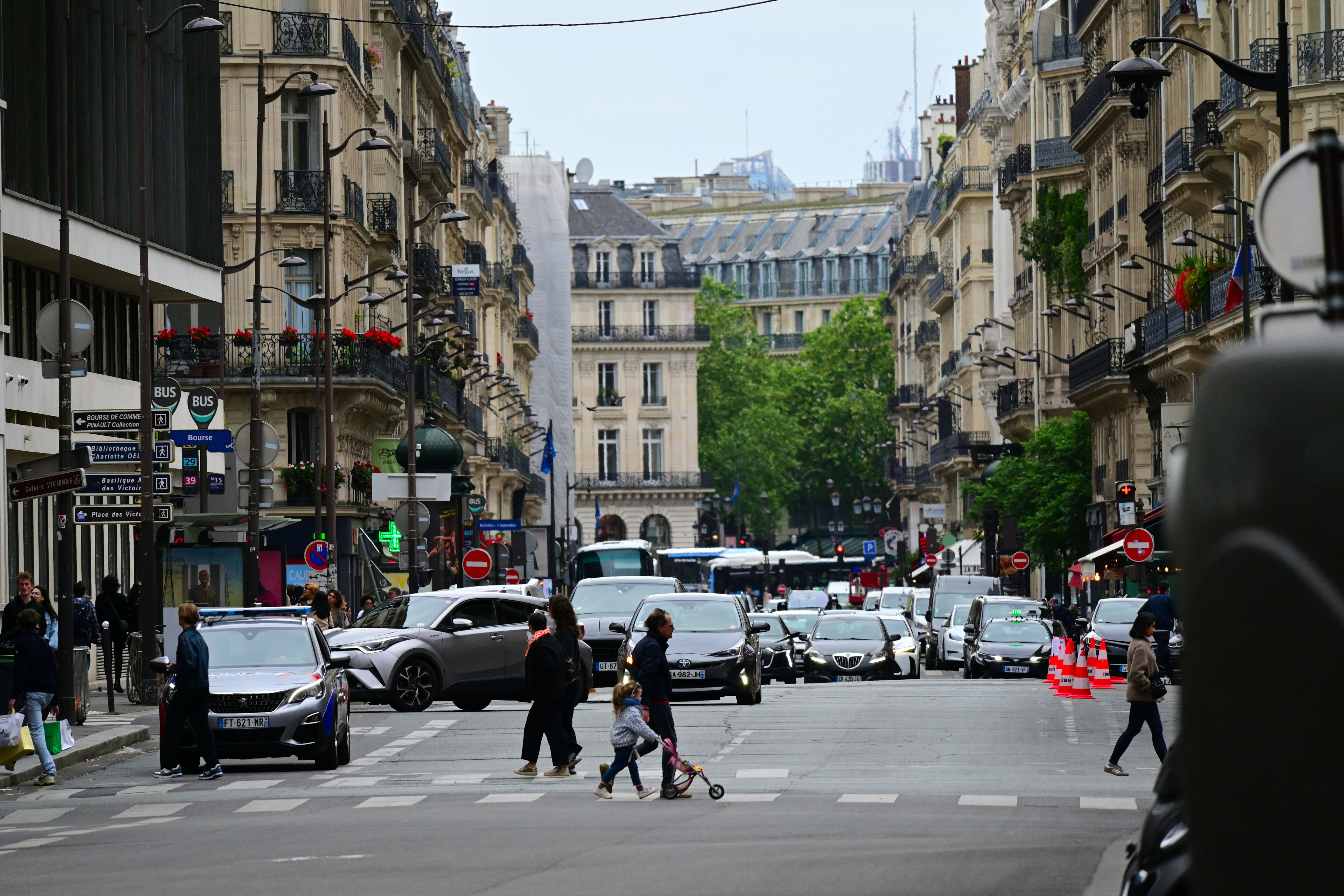 Photo by aminzabardast