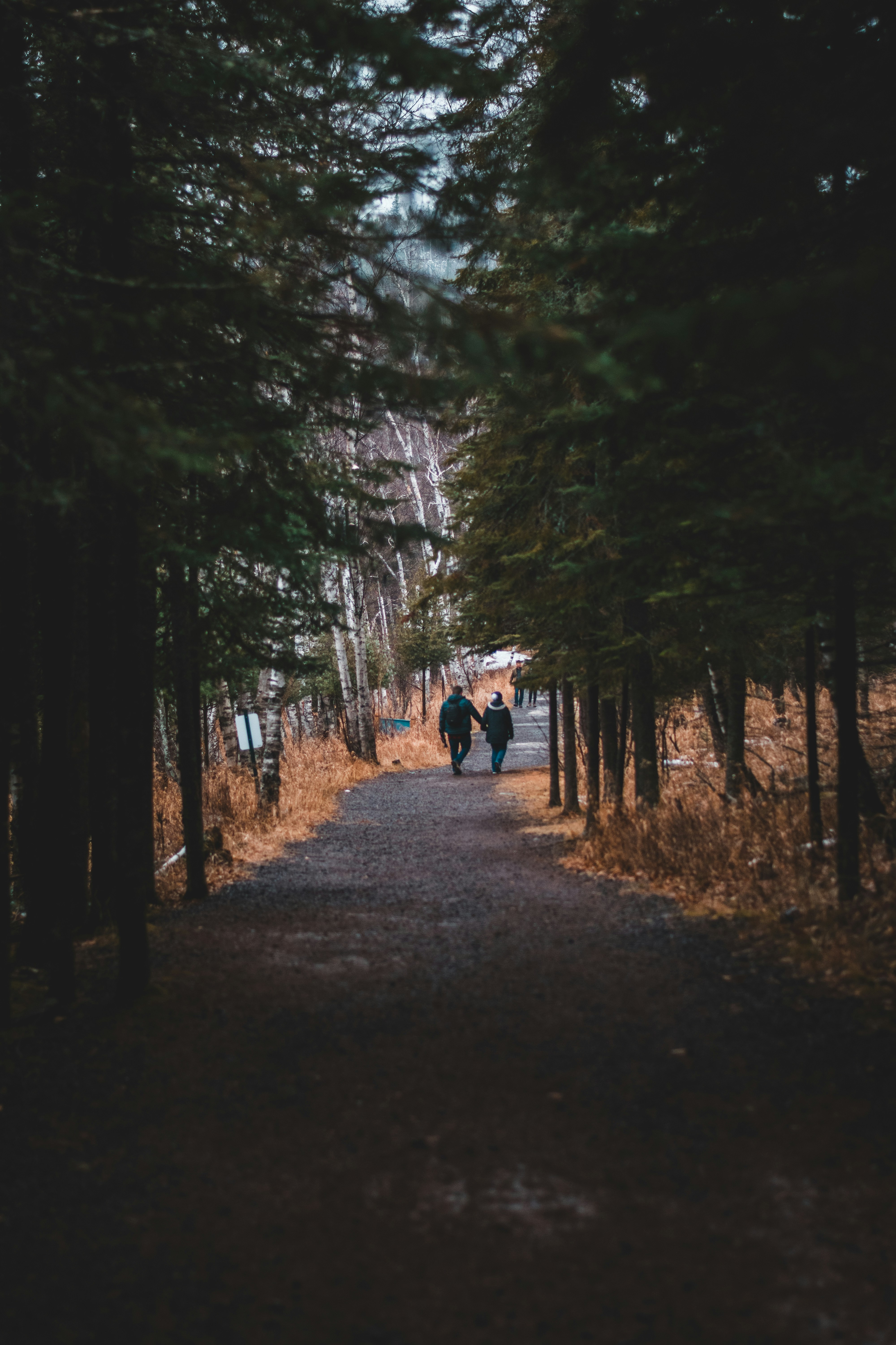 Photo by findenmarketing