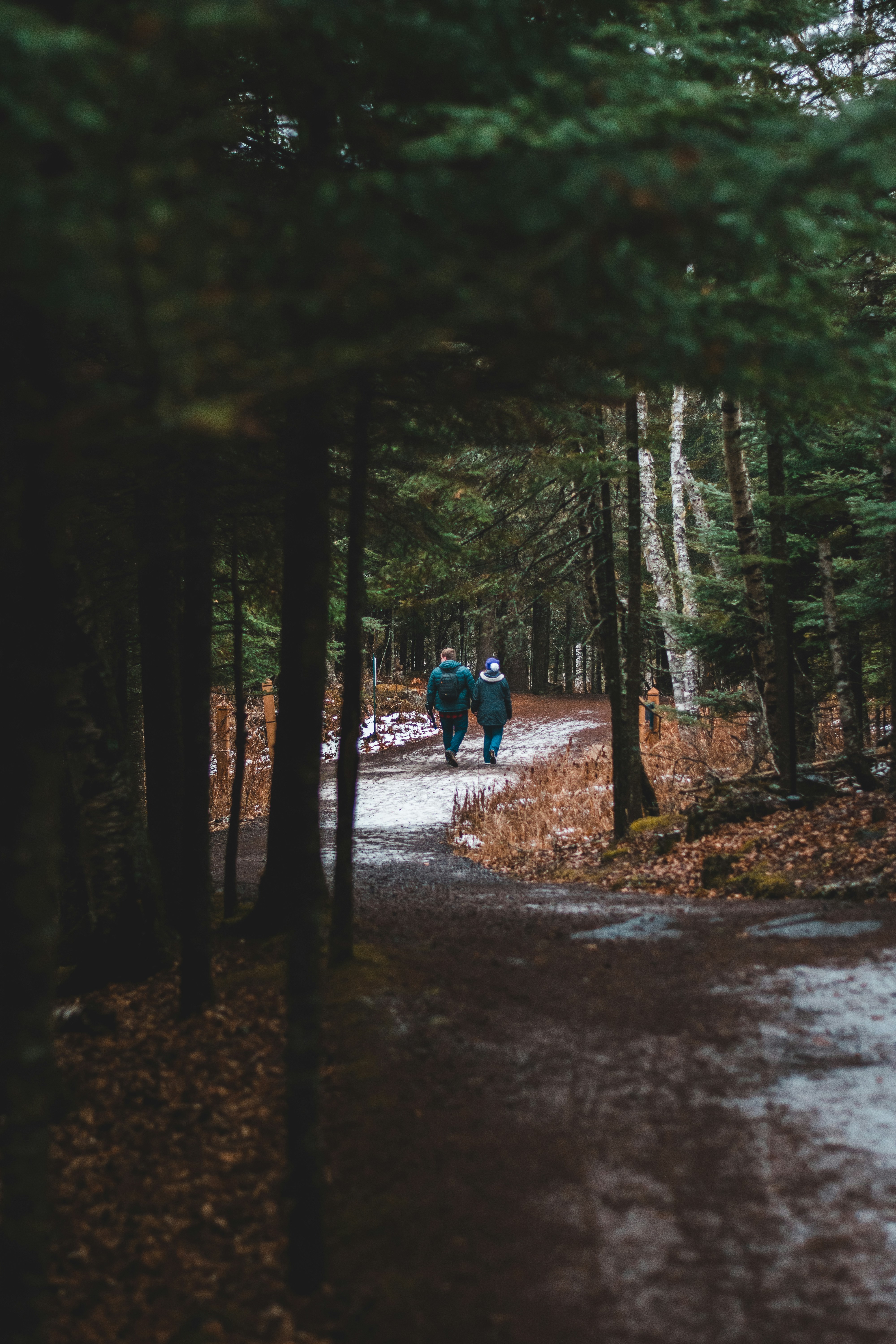 Photo by findenmarketing