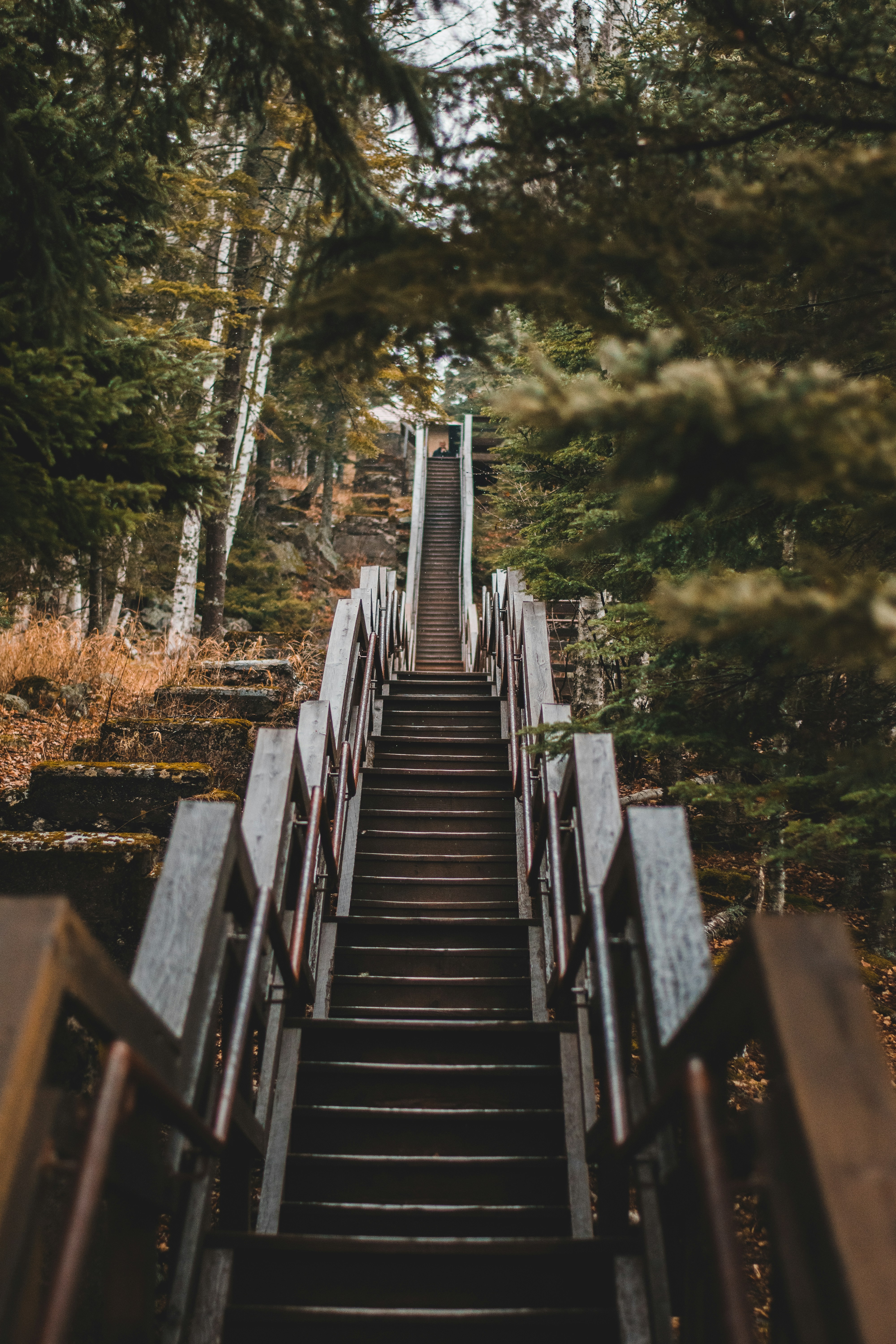 Photo by findenmarketing