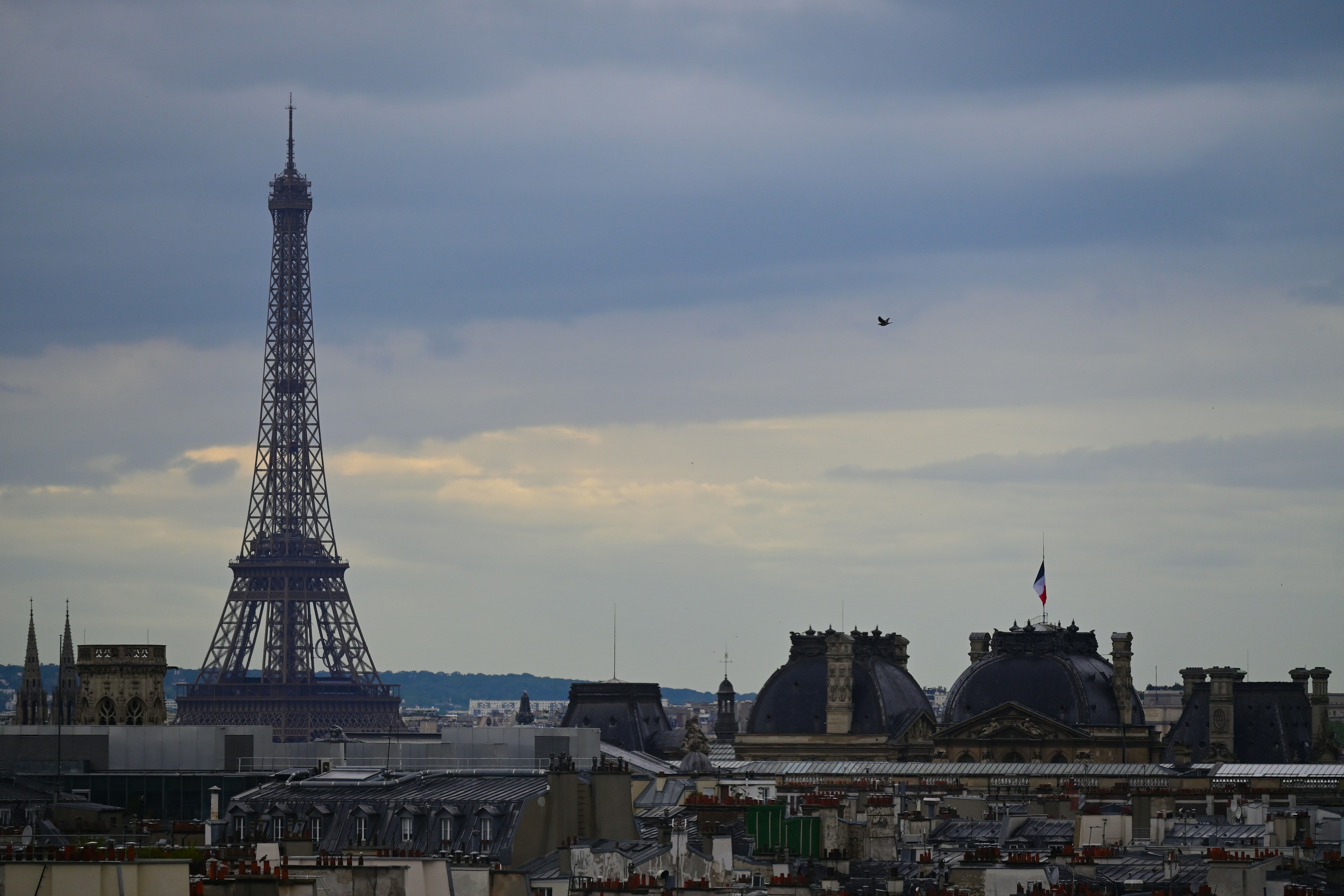 Photo by aminzabardast