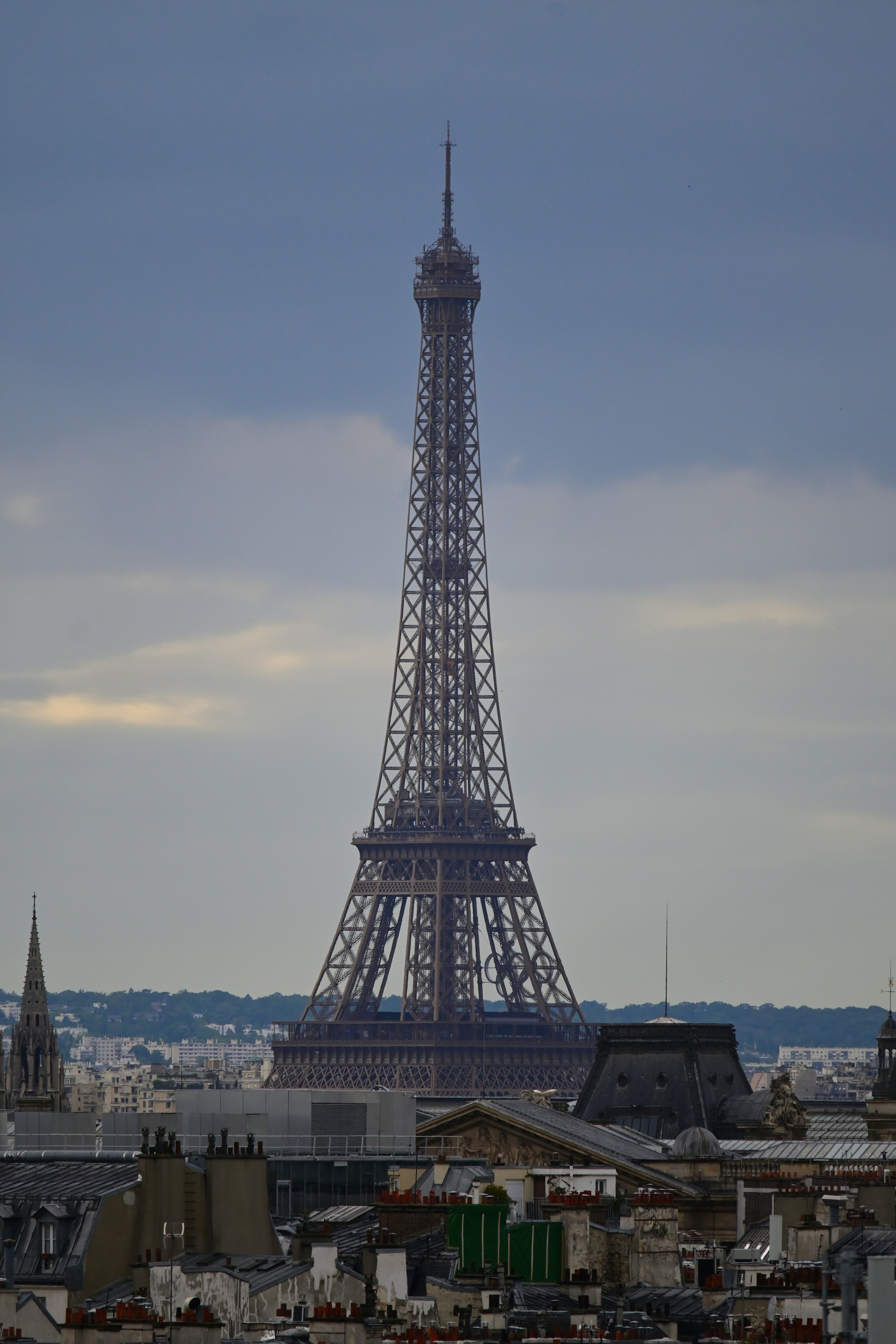 Photo by aminzabardast