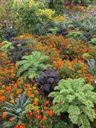 A garden filled with lots of different types of flowers