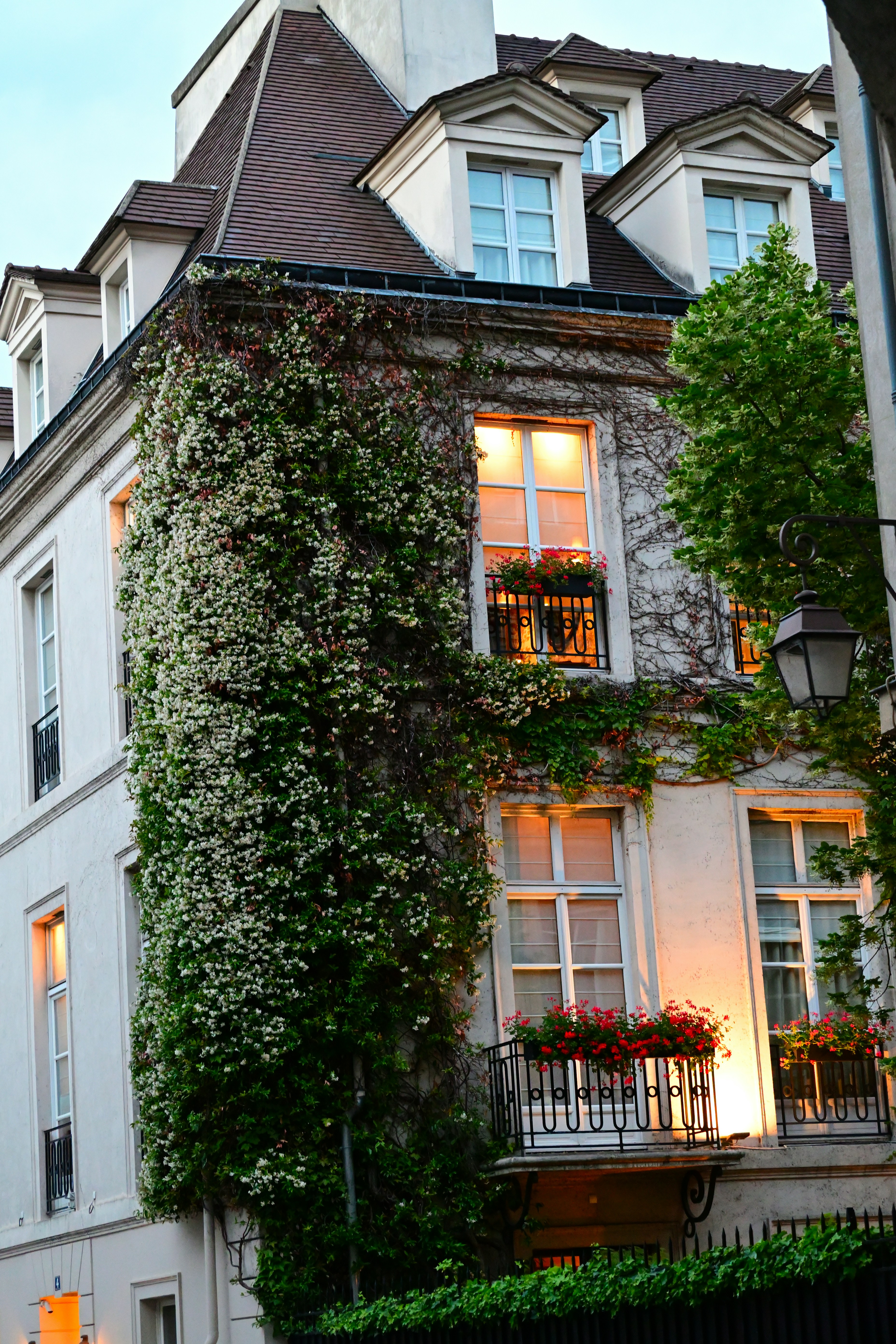 Photo by aminzabardast