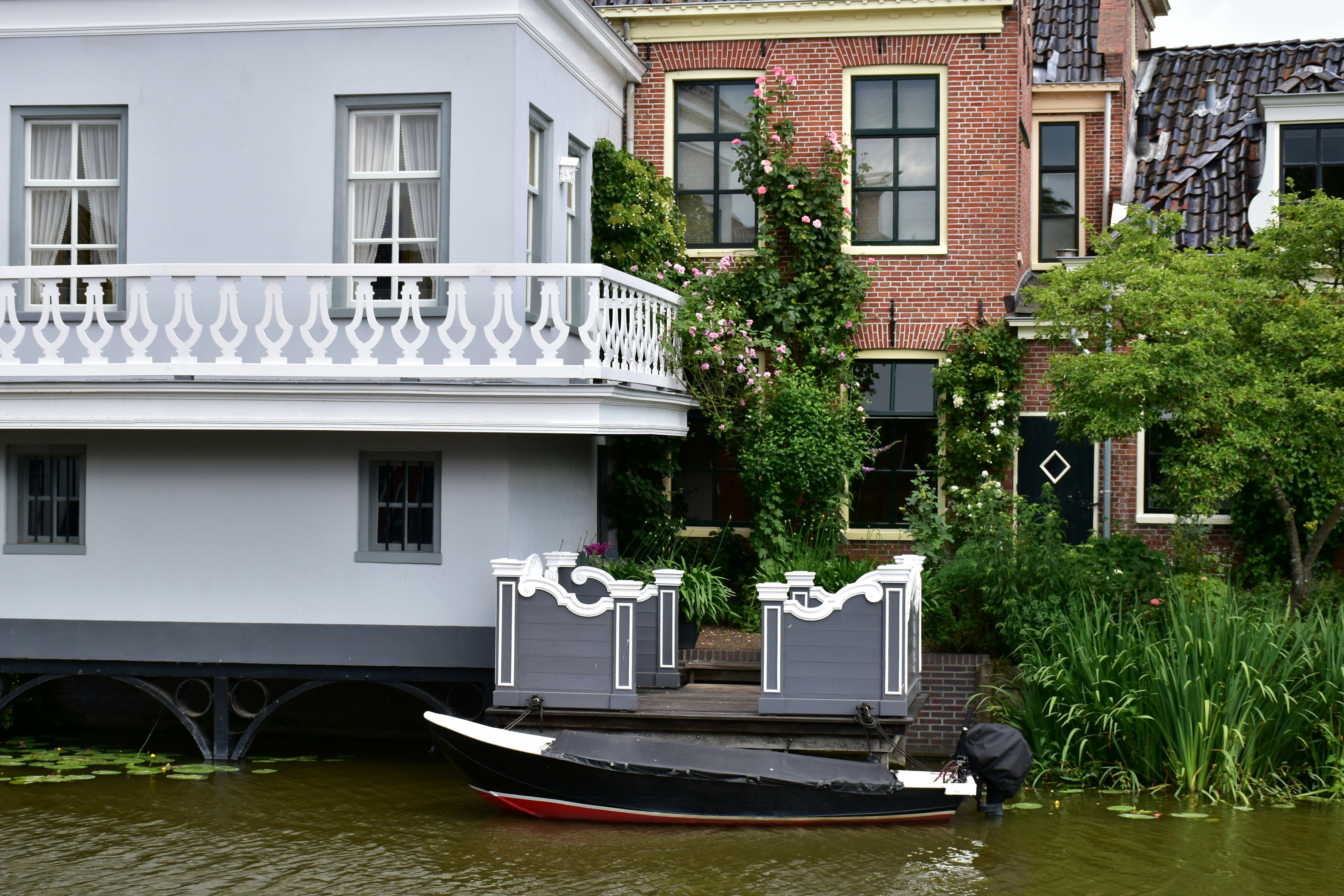 Image by Ries Bosch via Unsplash