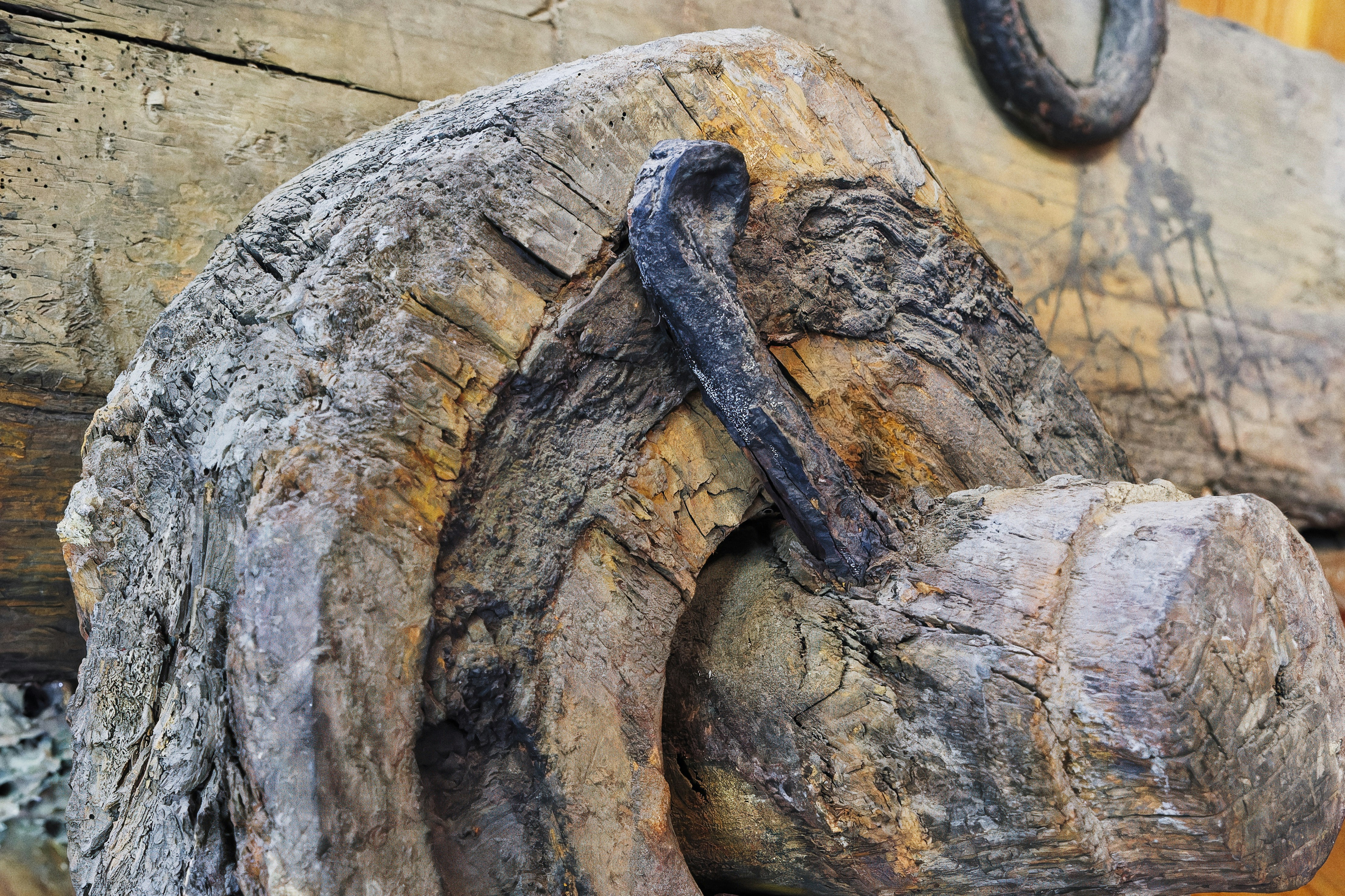 A close up of a piece of wood with a knot on it