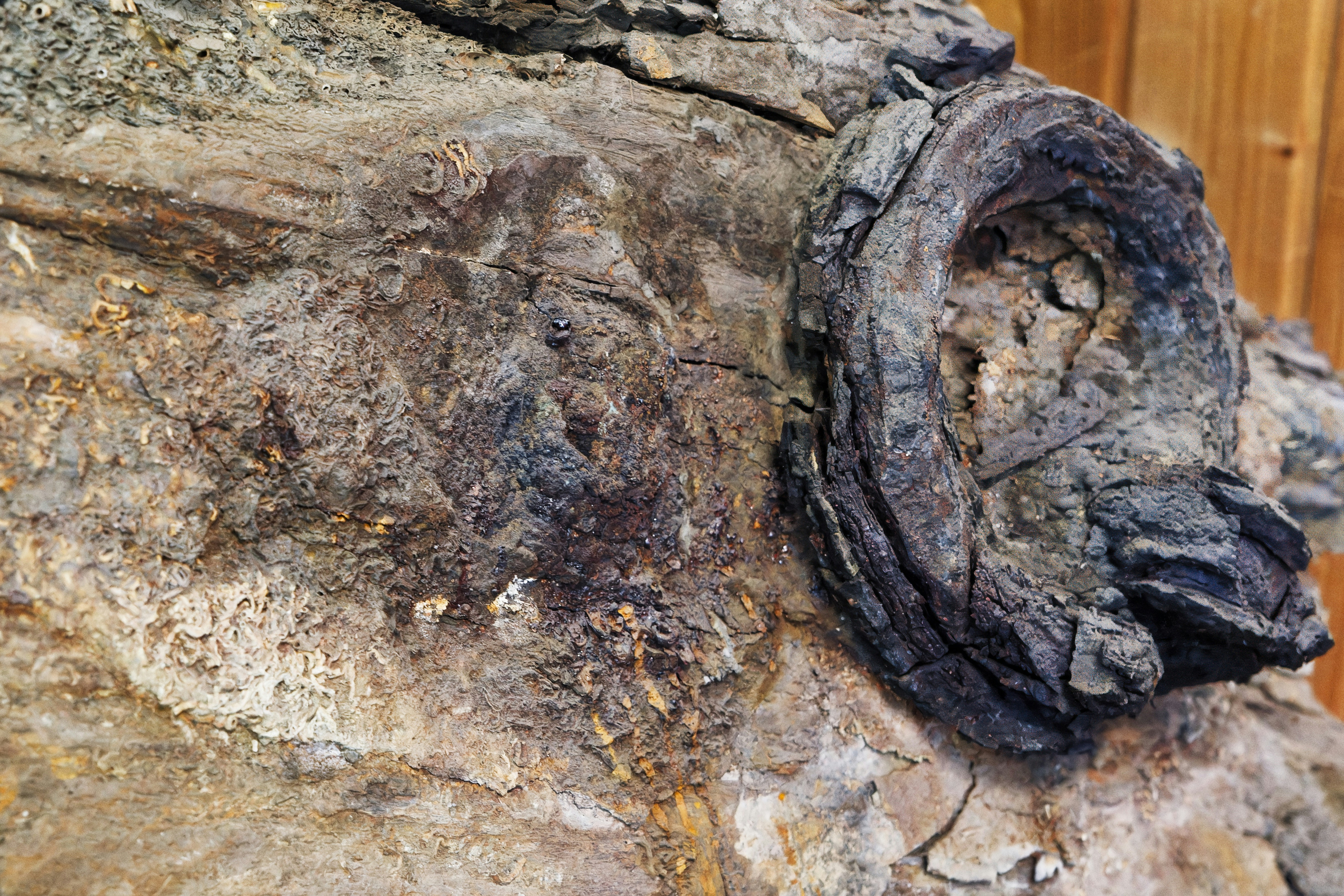 Research Tools & Citation Managers: Hands-On Review for Students (2026)