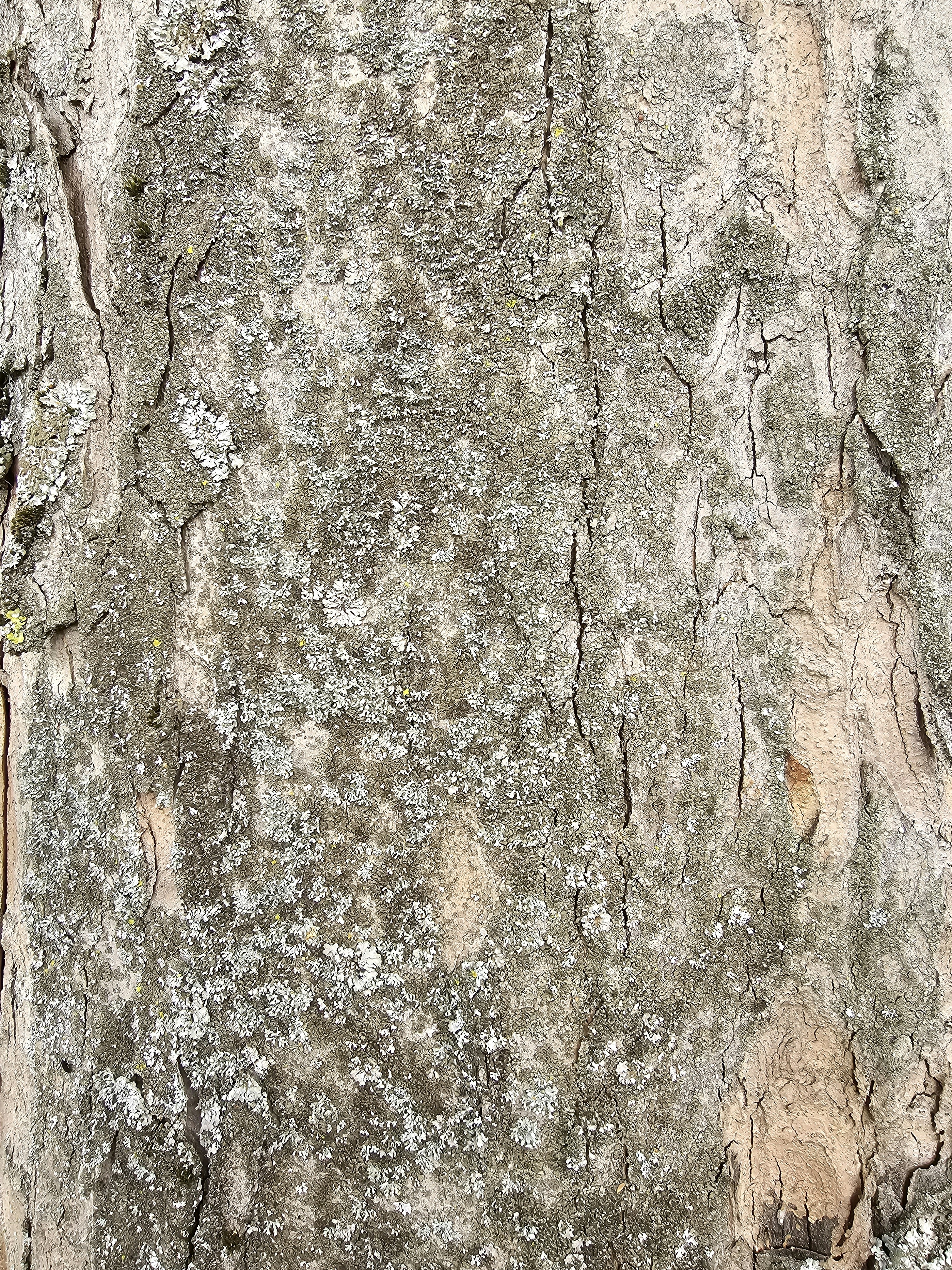 Photo by mehmetdemiral