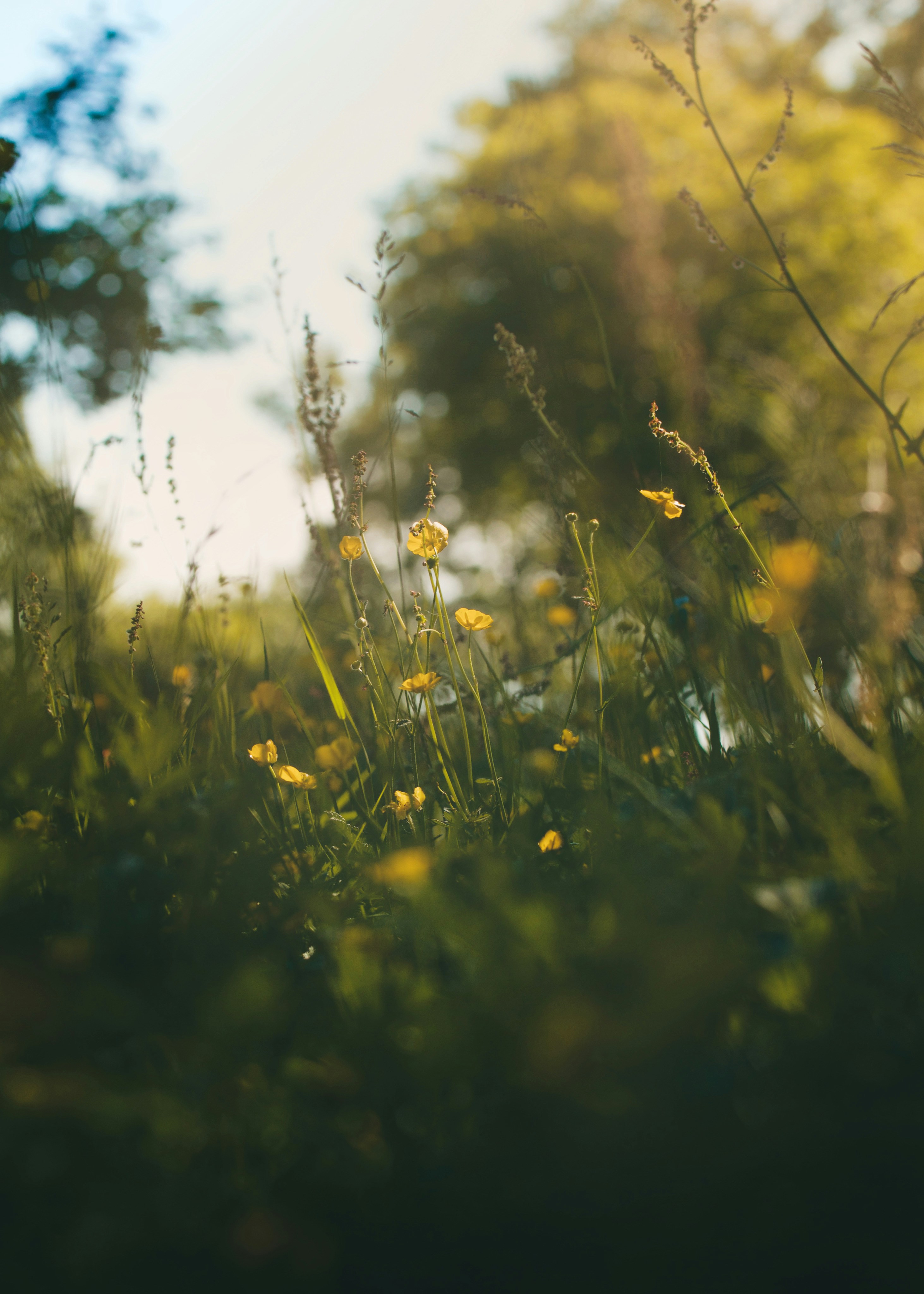 Photo by kristinokarlsen