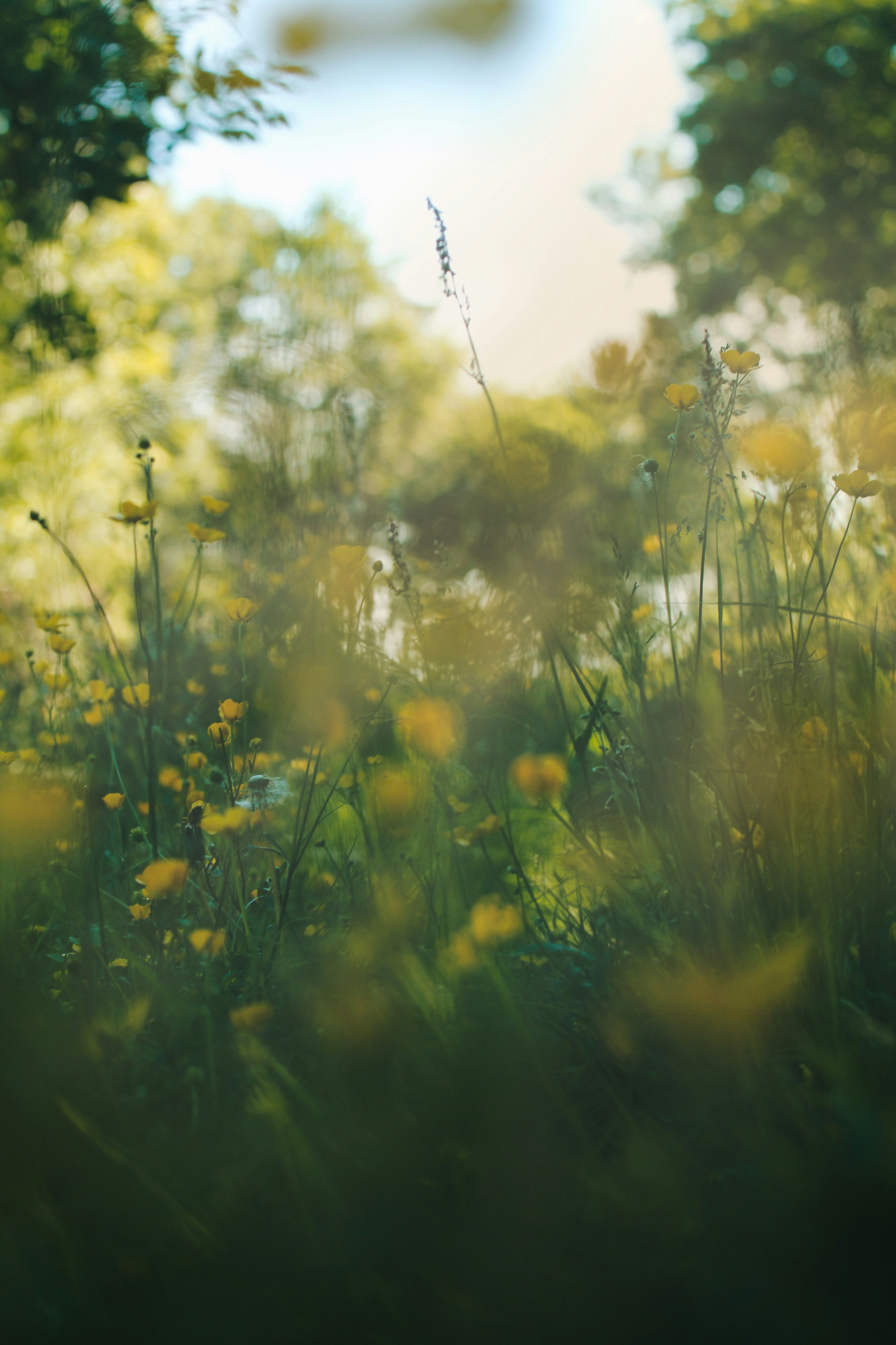 Photo by kristinokarlsen