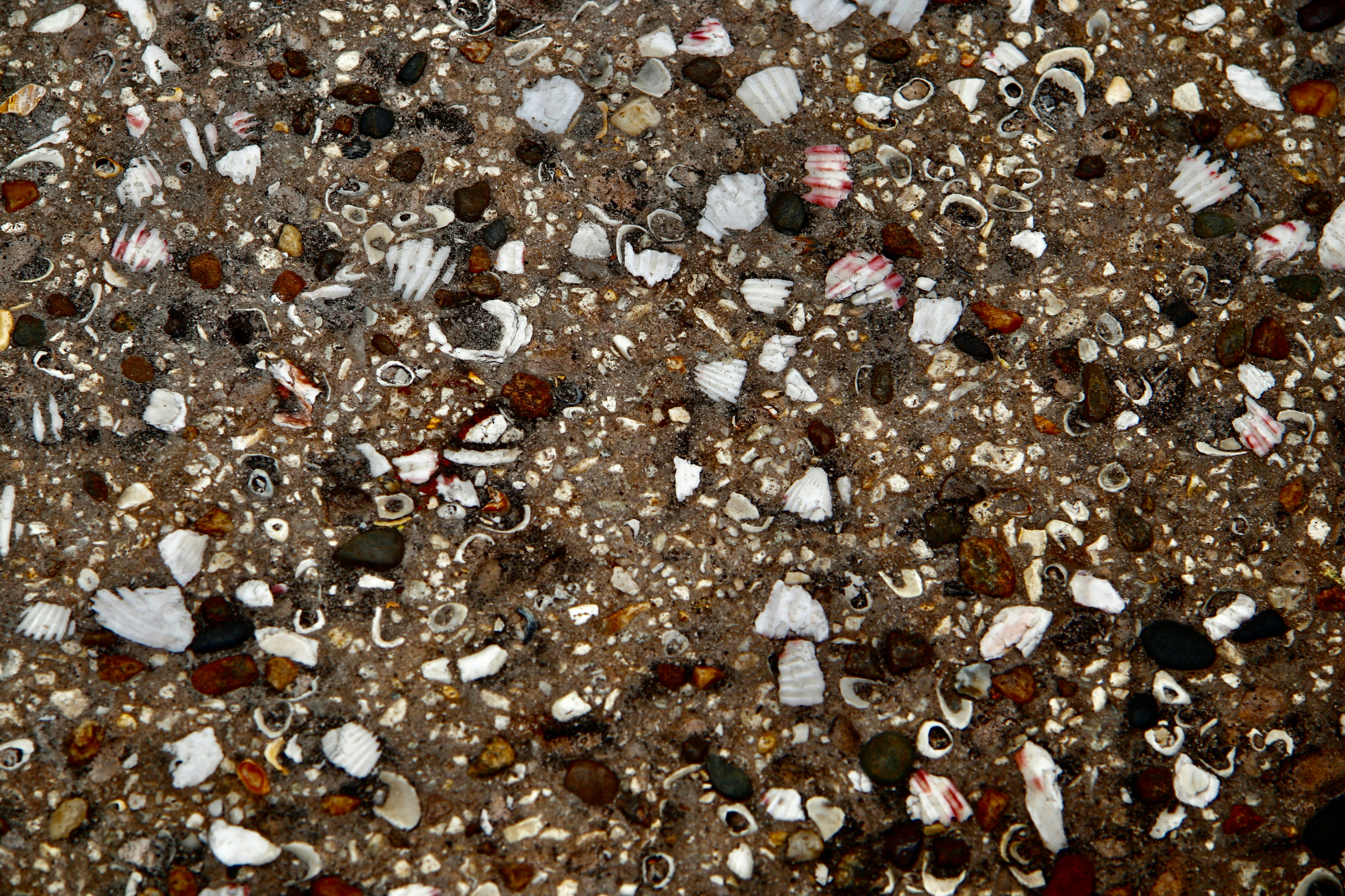 Photo by missylynnarts